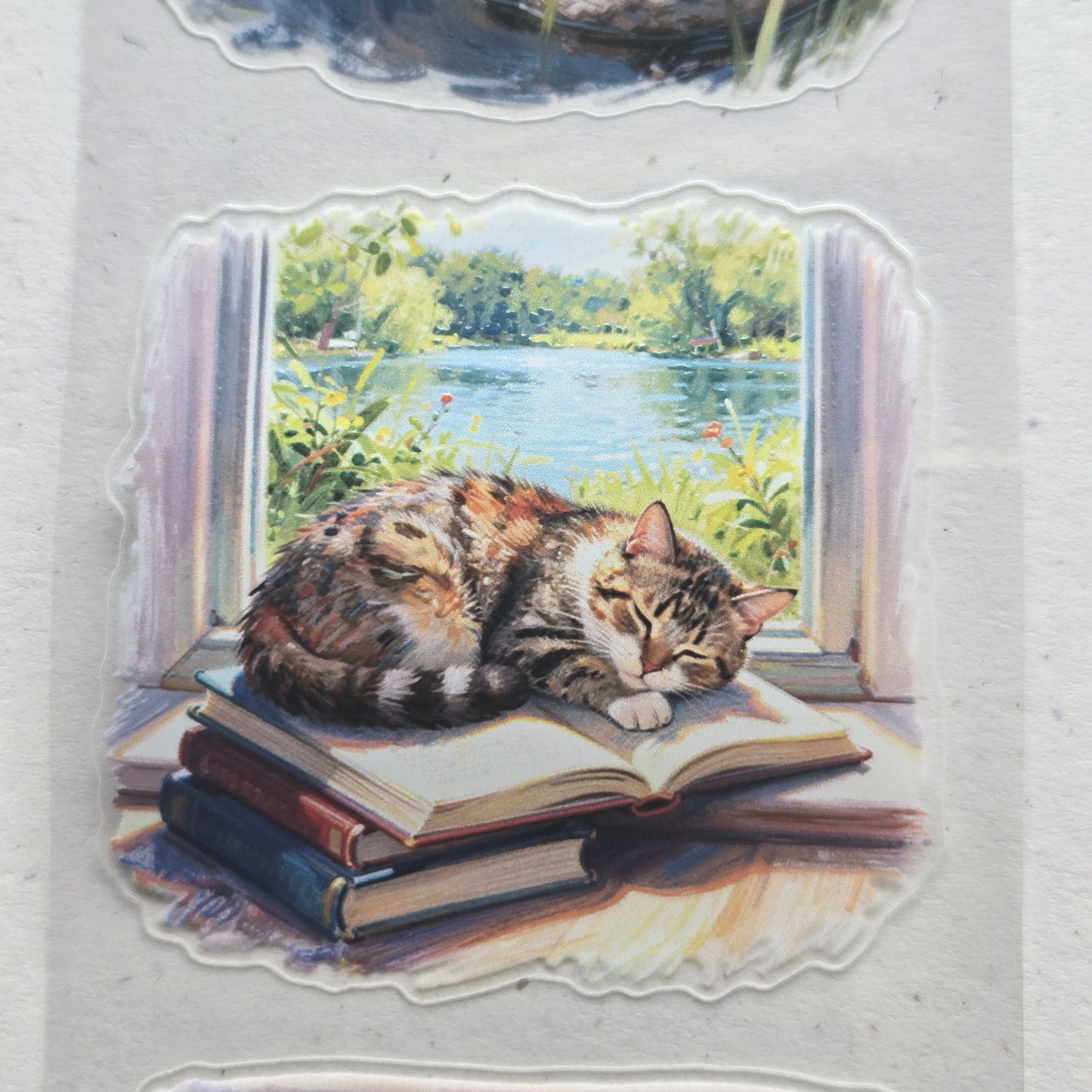 London Gifties Summer Village Reading Time 6cm kiss cut PET tape