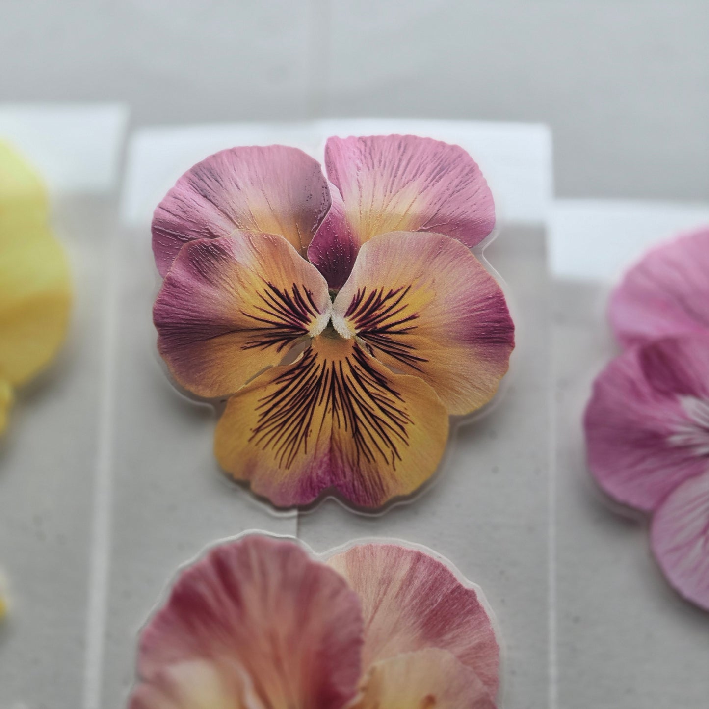 London Gifties Cheerful Summer Pansy 6cm Wide Kiss Cut Ink PET Tape