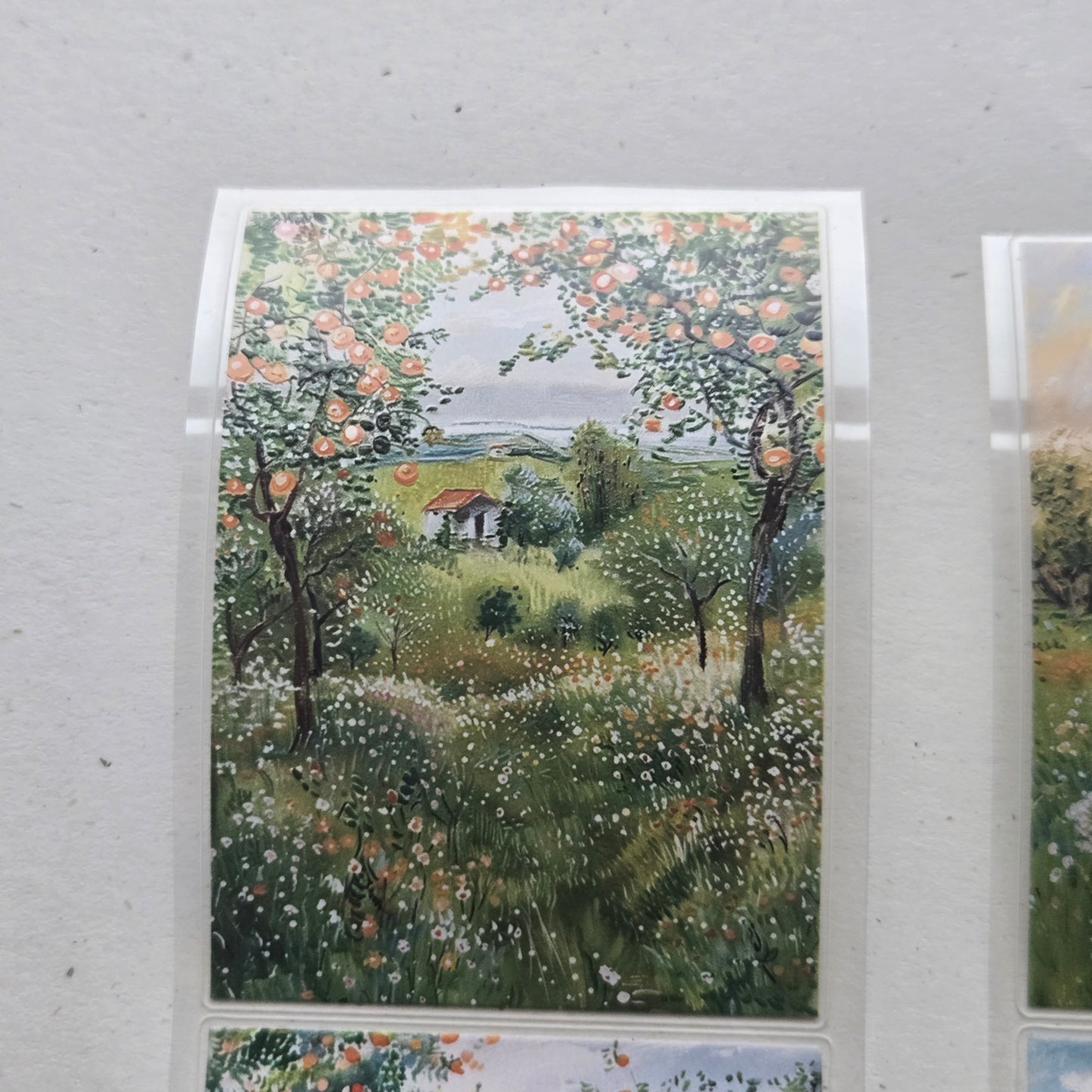London Gifties Colourful Fruit Farmhouse & Fields 6cm Wide Kiss Cut Ink PET Tape