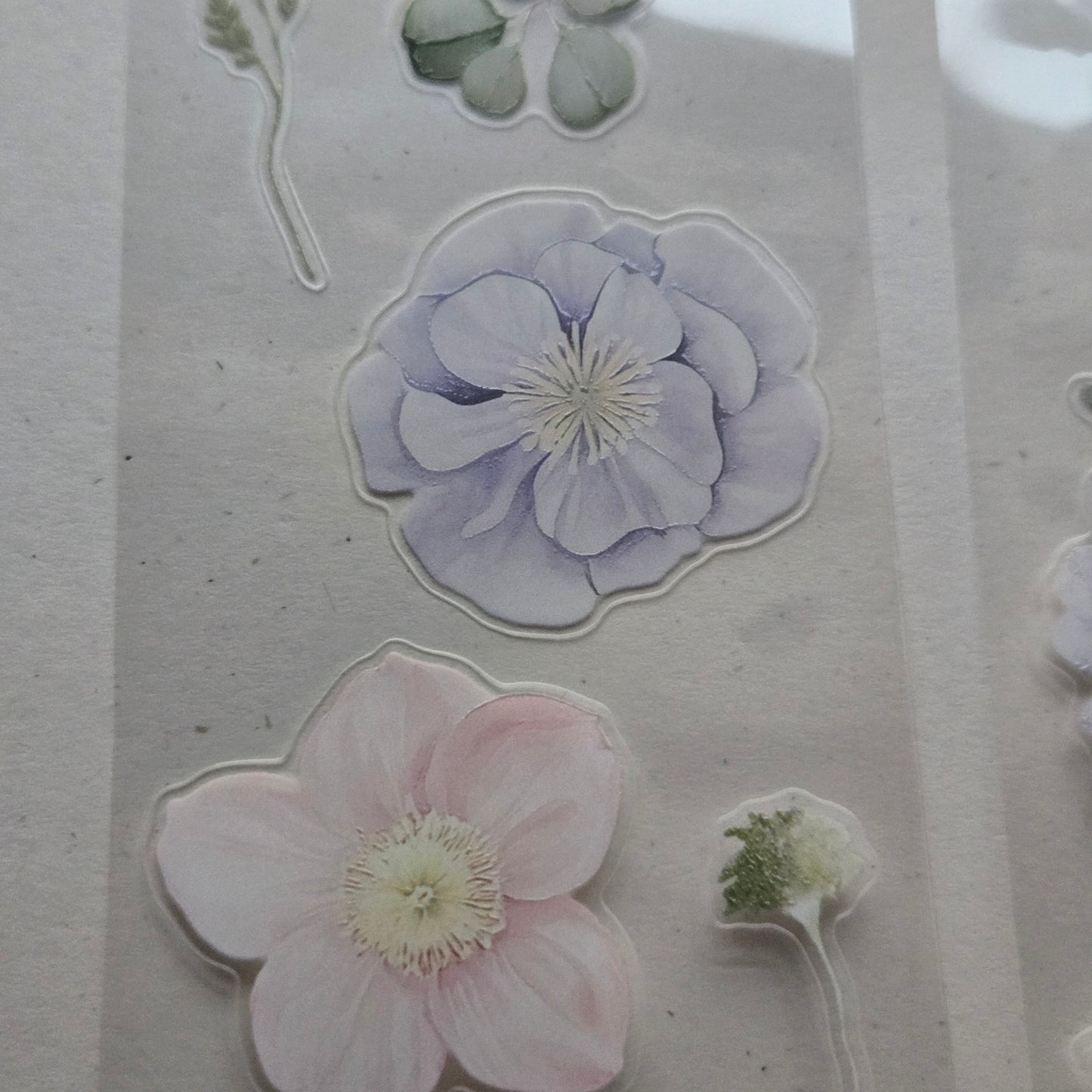 London Gifties Gentle Wild Meadow Blooms 6cm Wide Kiss Cut Ink PET Tape