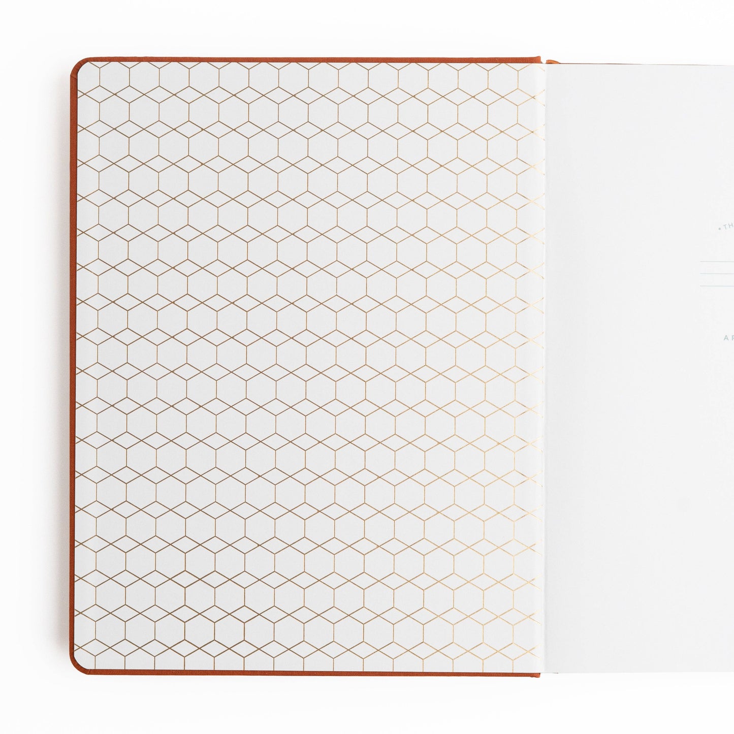 Keeper of Bees in Rust | Books: Kraft Dot Grid / A5: 192 Pages