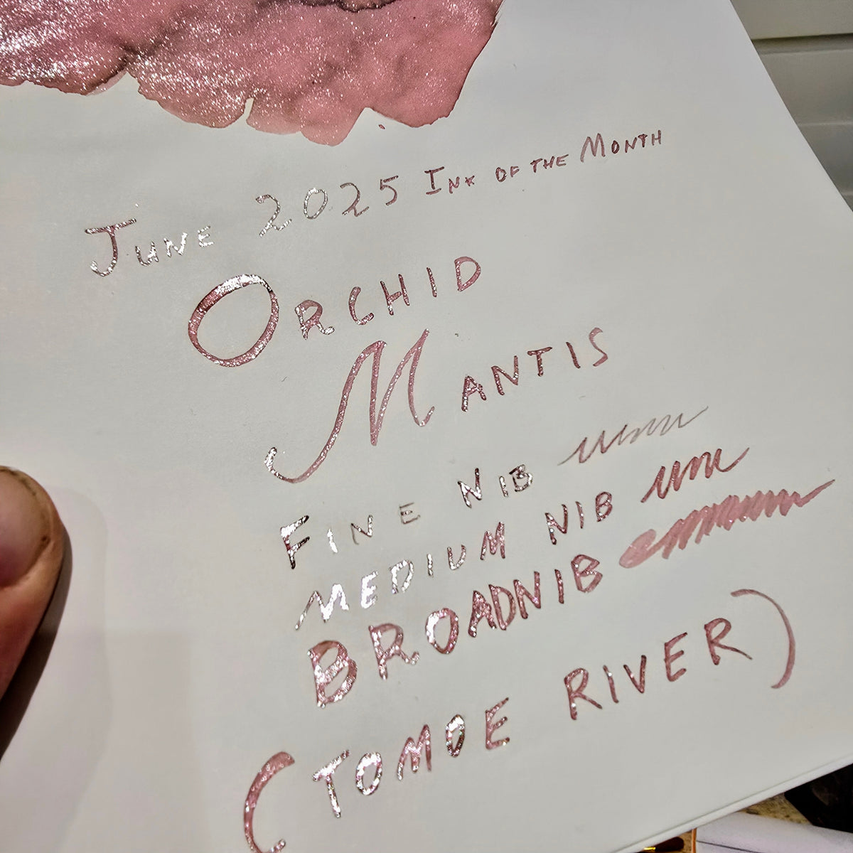 2025 Ink of the Month - Orchid Mantis - 4ml Fountain Pen Ink Sample