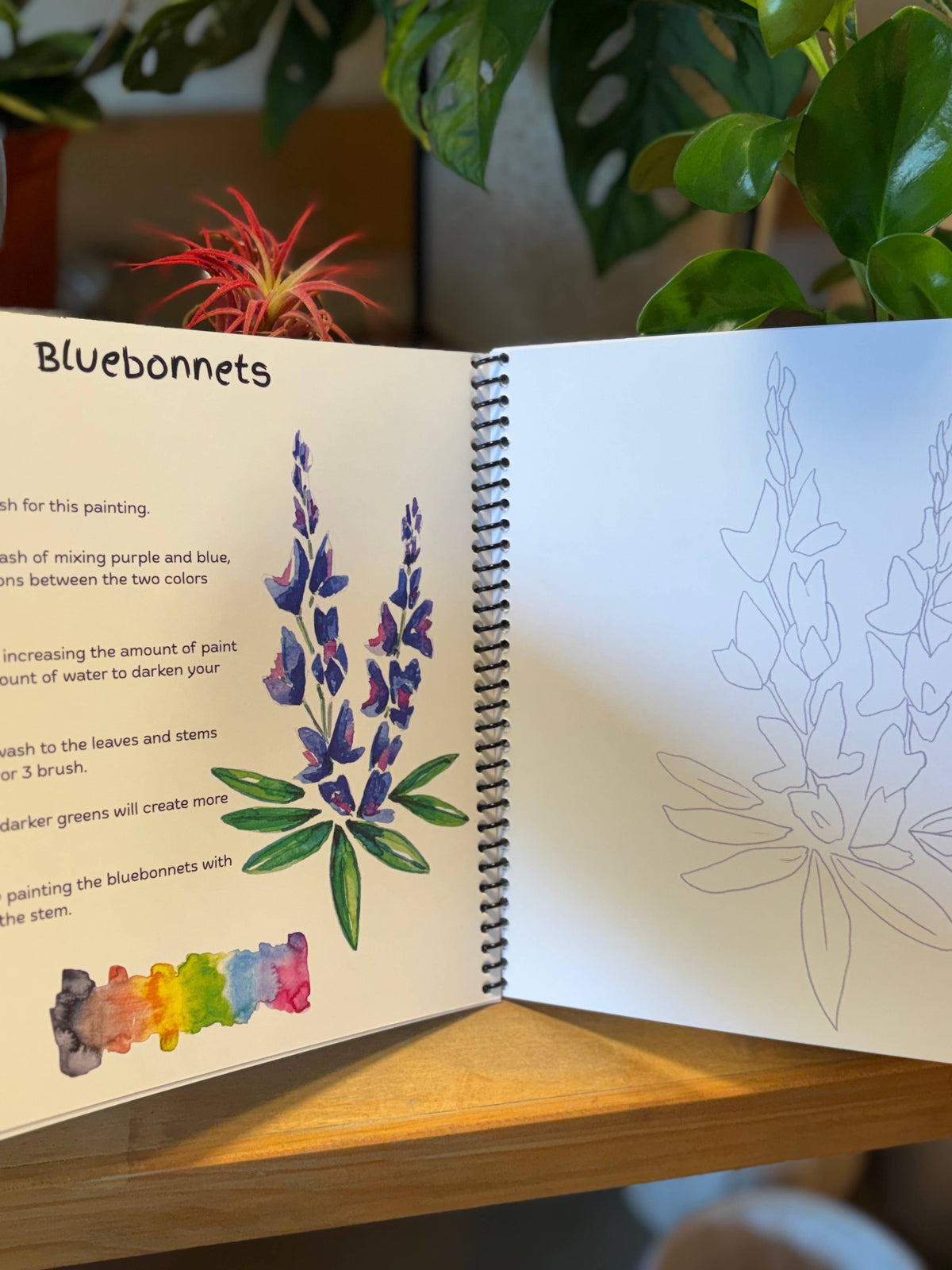 Beginner Texas watercolor painting workbook