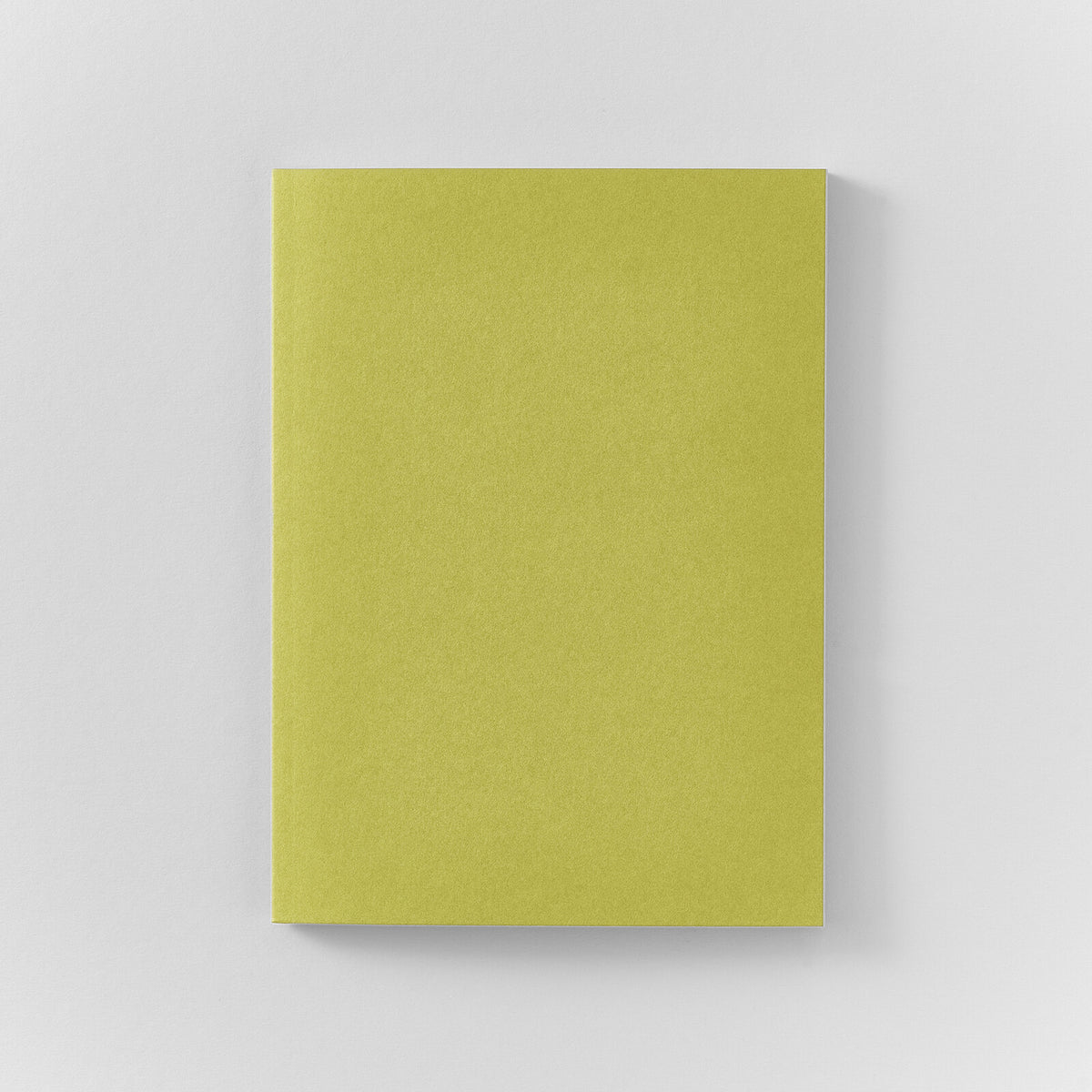 Dressco Onion Skin Notebook Large Pistachio - Limited Edition