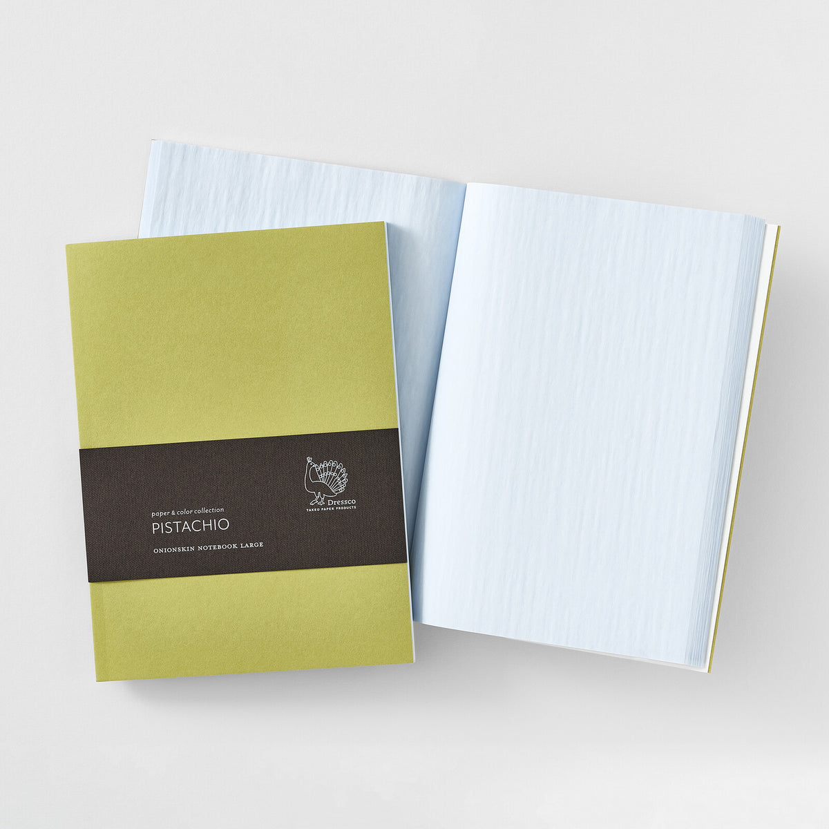 Dressco Onion Skin Notebook Large Pistachio - Limited Edition