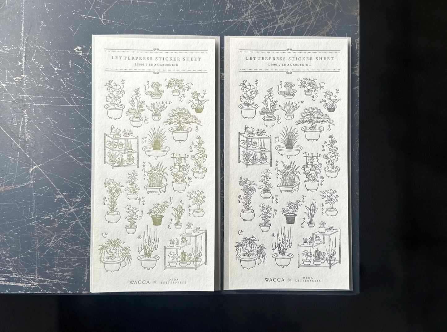 Oeda Letterpress x WACCA JAPAN Sticker Sheet - Edo Gardening (Warbler)