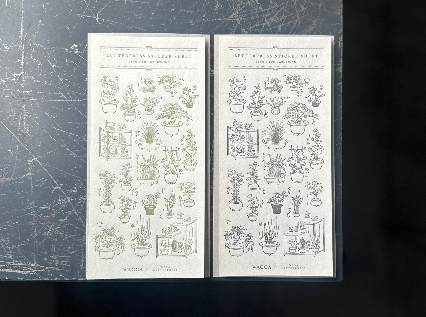 Oeda Letterpress x WACCA JAPAN Sticker Sheet - Edo Gardening (Warbler)