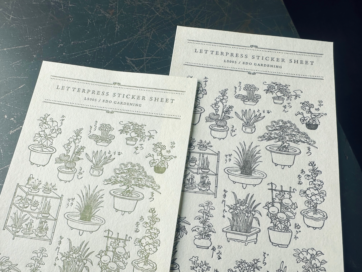 Oeda Letterpress x WACCA JAPAN Sticker Sheet - Edo Gardening (Warbler)