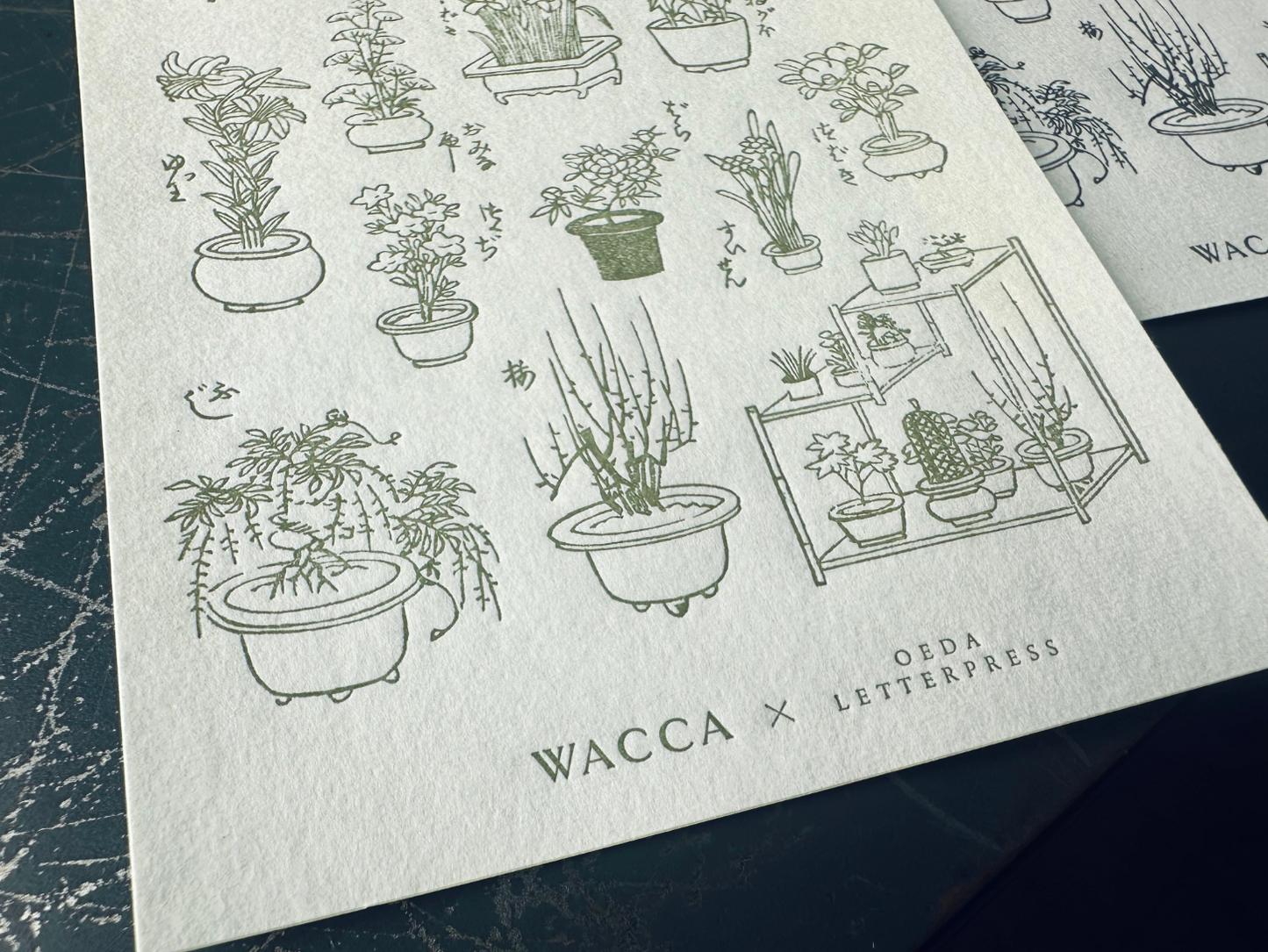 Oeda Letterpress x WACCA JAPAN Sticker Sheet - Edo Gardening (Warbler)