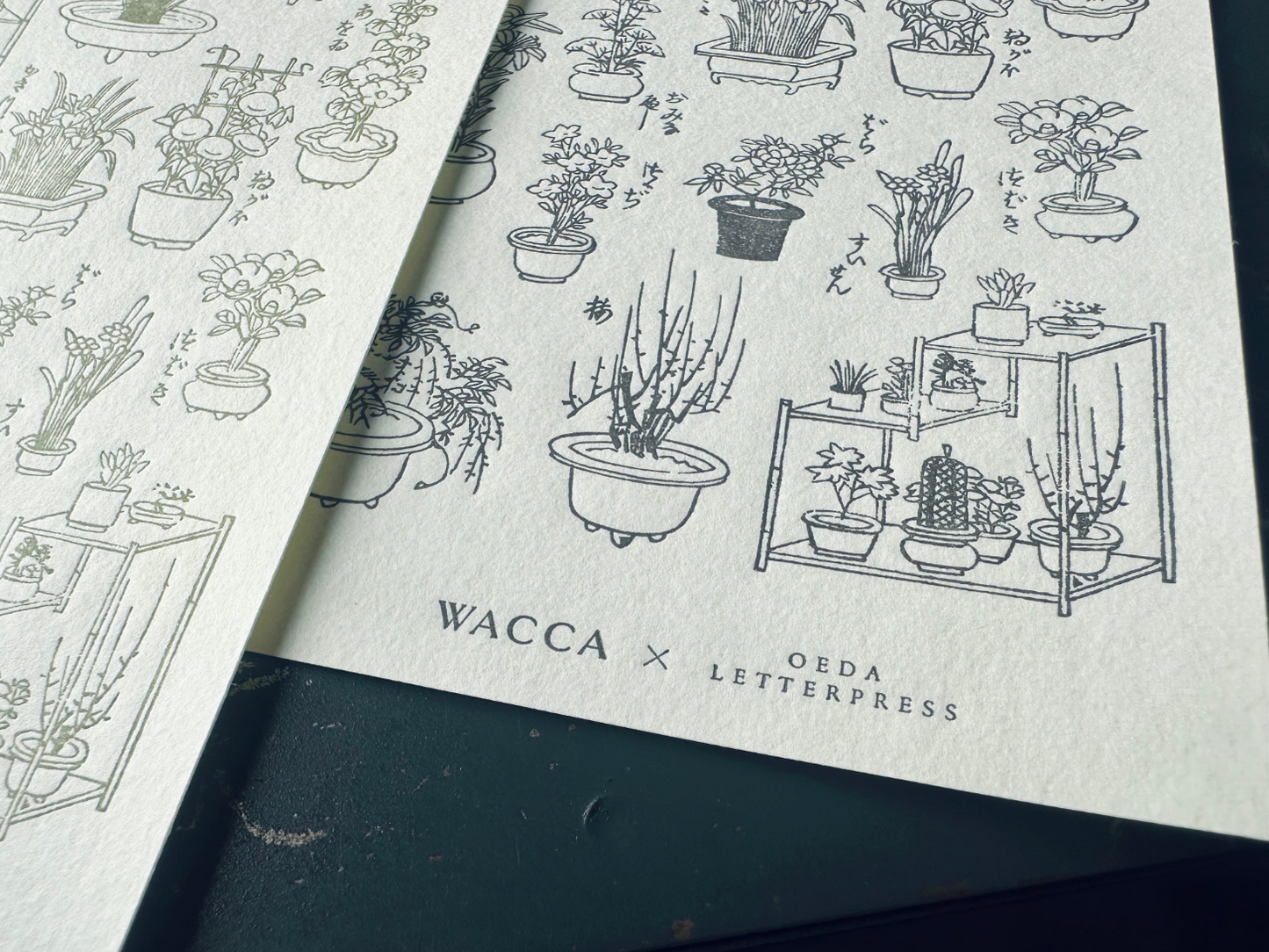 Oeda Letterpress x WACCA JAPAN Sticker Sheet - Edo Gardening (Warbler)