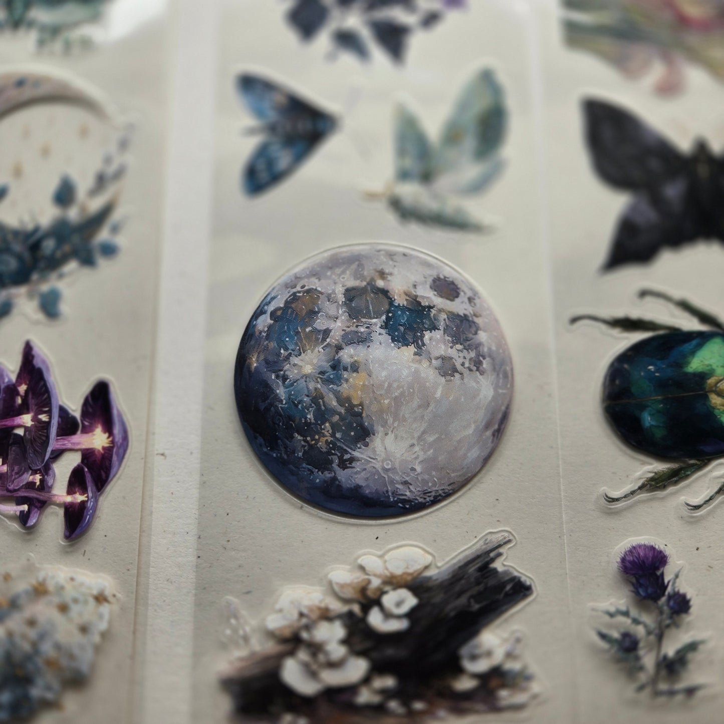 London Gifties Mystical & Magical Forest Tales 7cm kiss cut PET tape