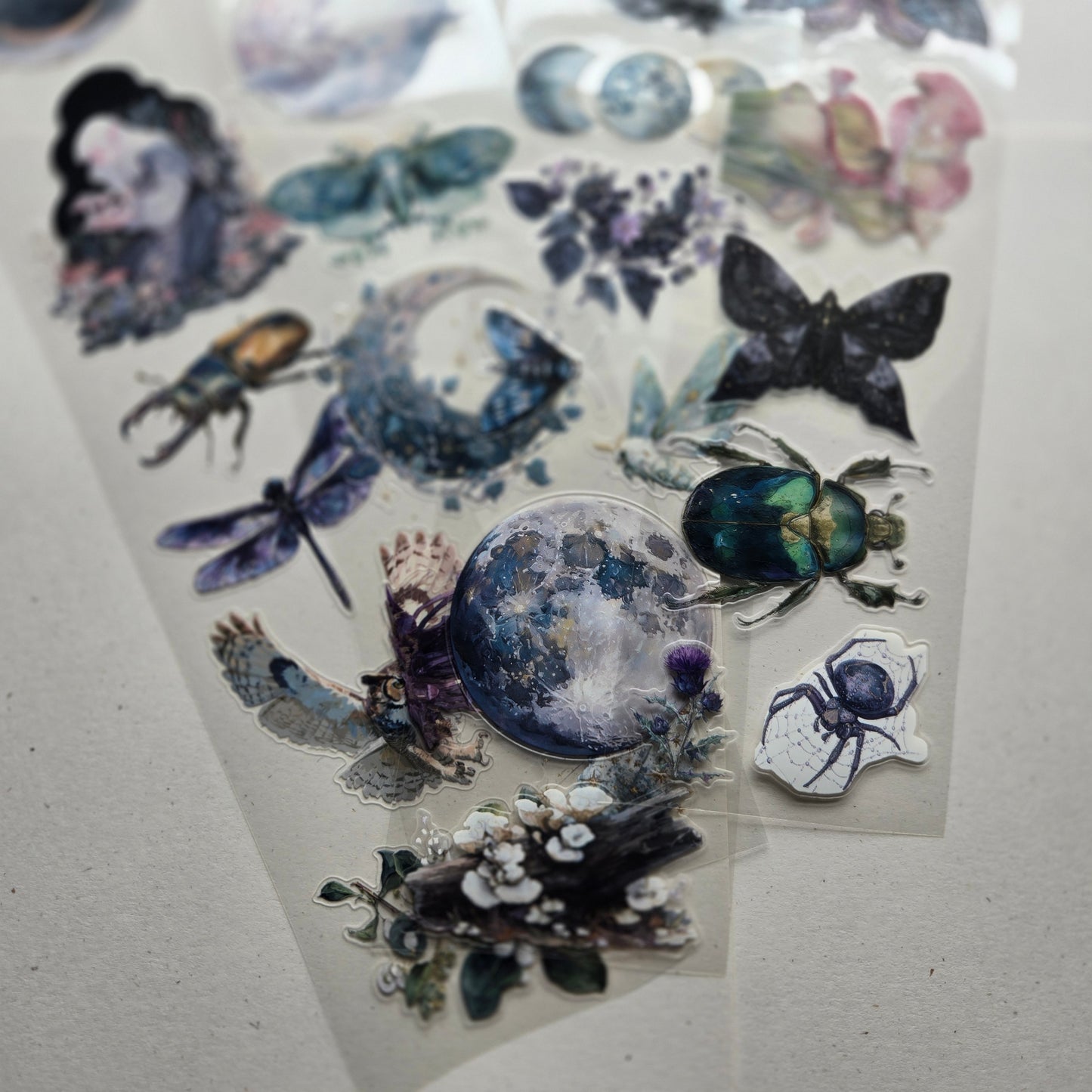 London Gifties Mystical & Magical Forest Tales 7cm kiss cut PET tape