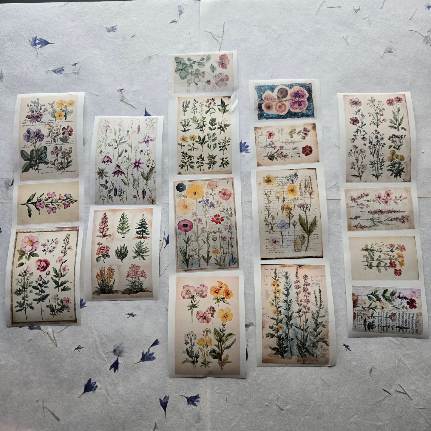 London Gifties Messy Botanical Journal Notes kiss-cut raised 3D gloss 7cm wide