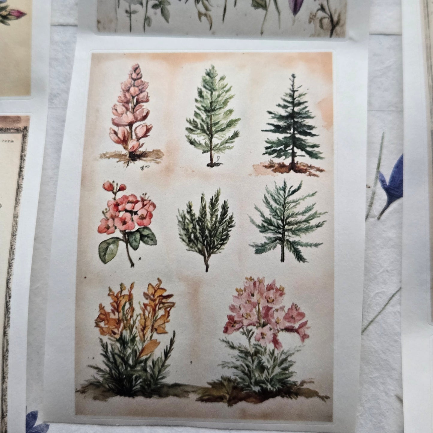 London Gifties Messy Botanical Journal Notes kiss-cut raised 3D gloss 7cm wide