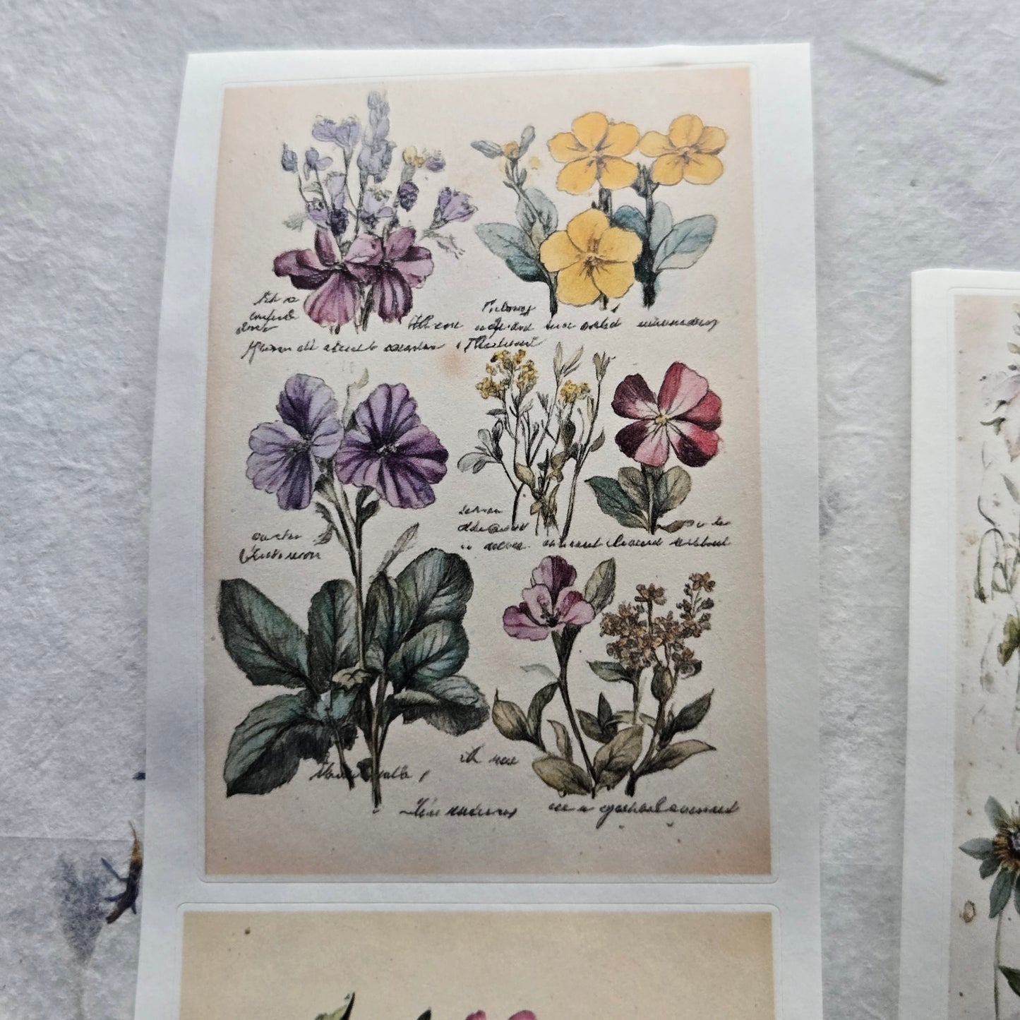 London Gifties Messy Botanical Journal Notes kiss-cut raised 3D gloss 7cm wide