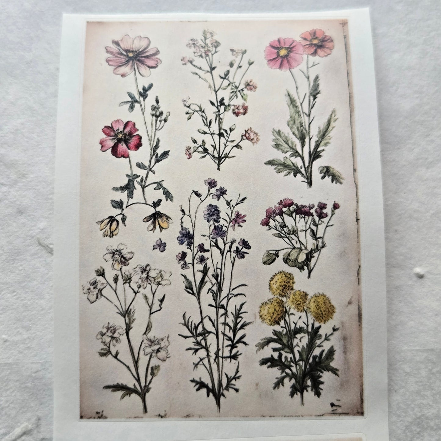 London Gifties Messy Botanical Journal Notes kiss-cut raised 3D gloss 7cm wide