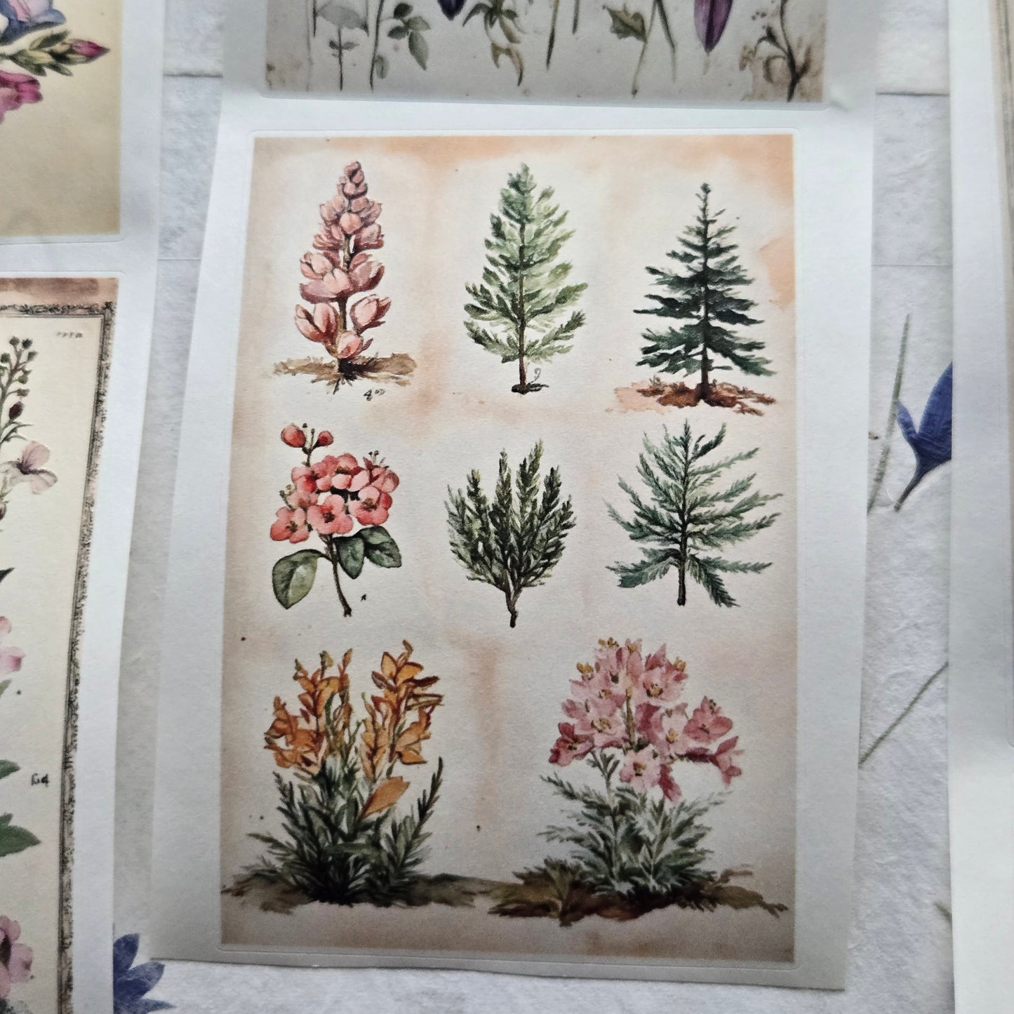 London Gifties Messy Botanical Journal Notes kiss-cut raised 3D gloss 7cm wide