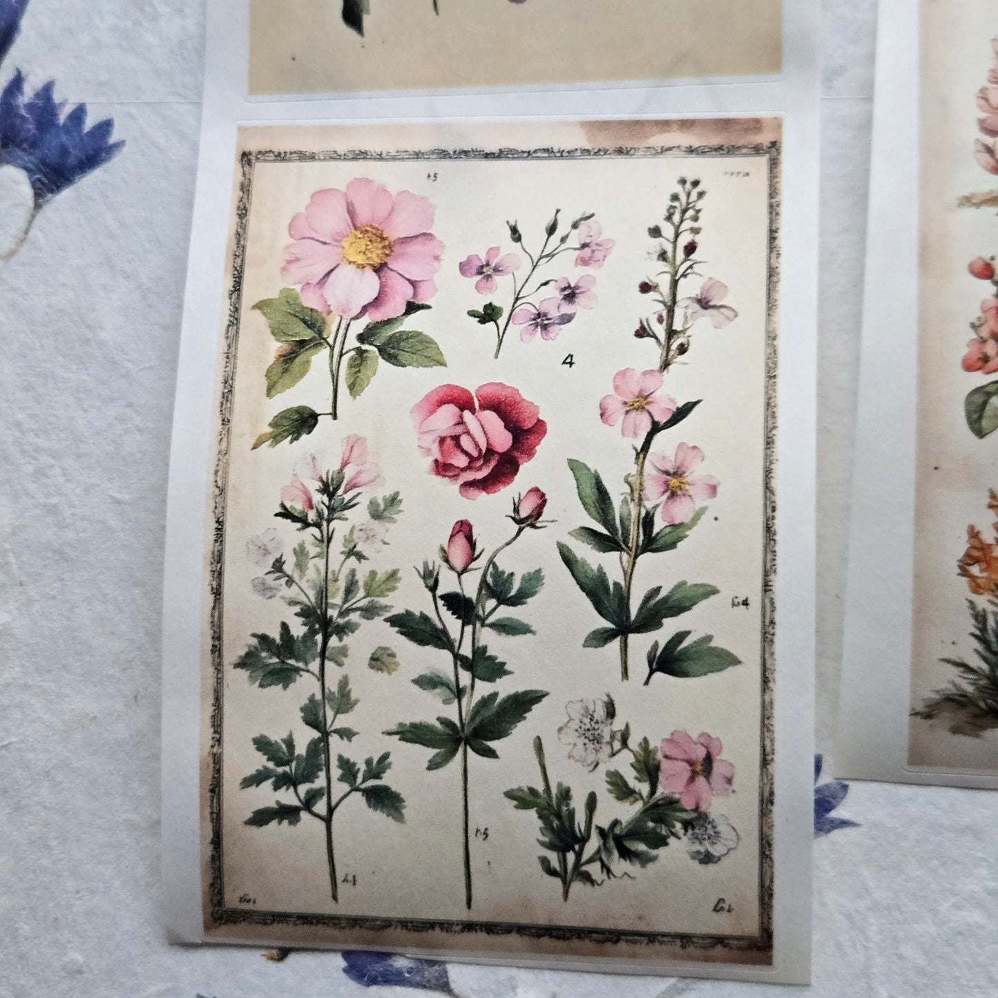 London Gifties Messy Botanical Journal Notes kiss-cut raised 3D gloss 7cm wide