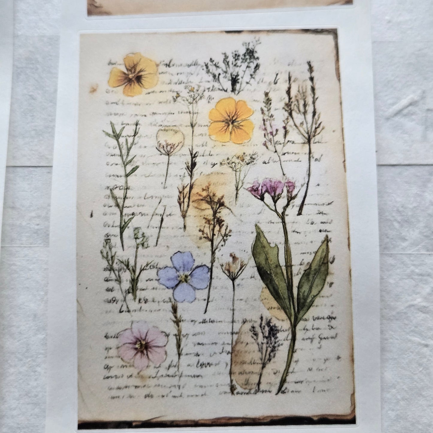 London Gifties Messy Botanical Journal Notes kiss-cut raised 3D gloss 7cm wide