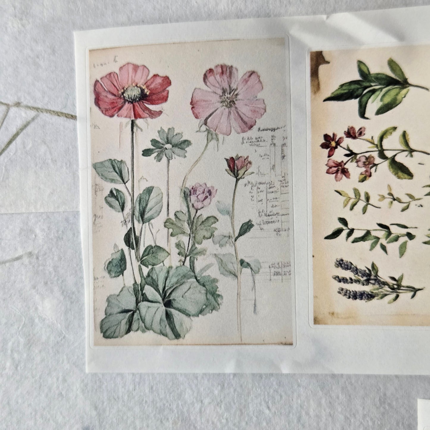 London Gifties Messy Botanical Journal Notes kiss-cut raised 3D gloss 7cm wide