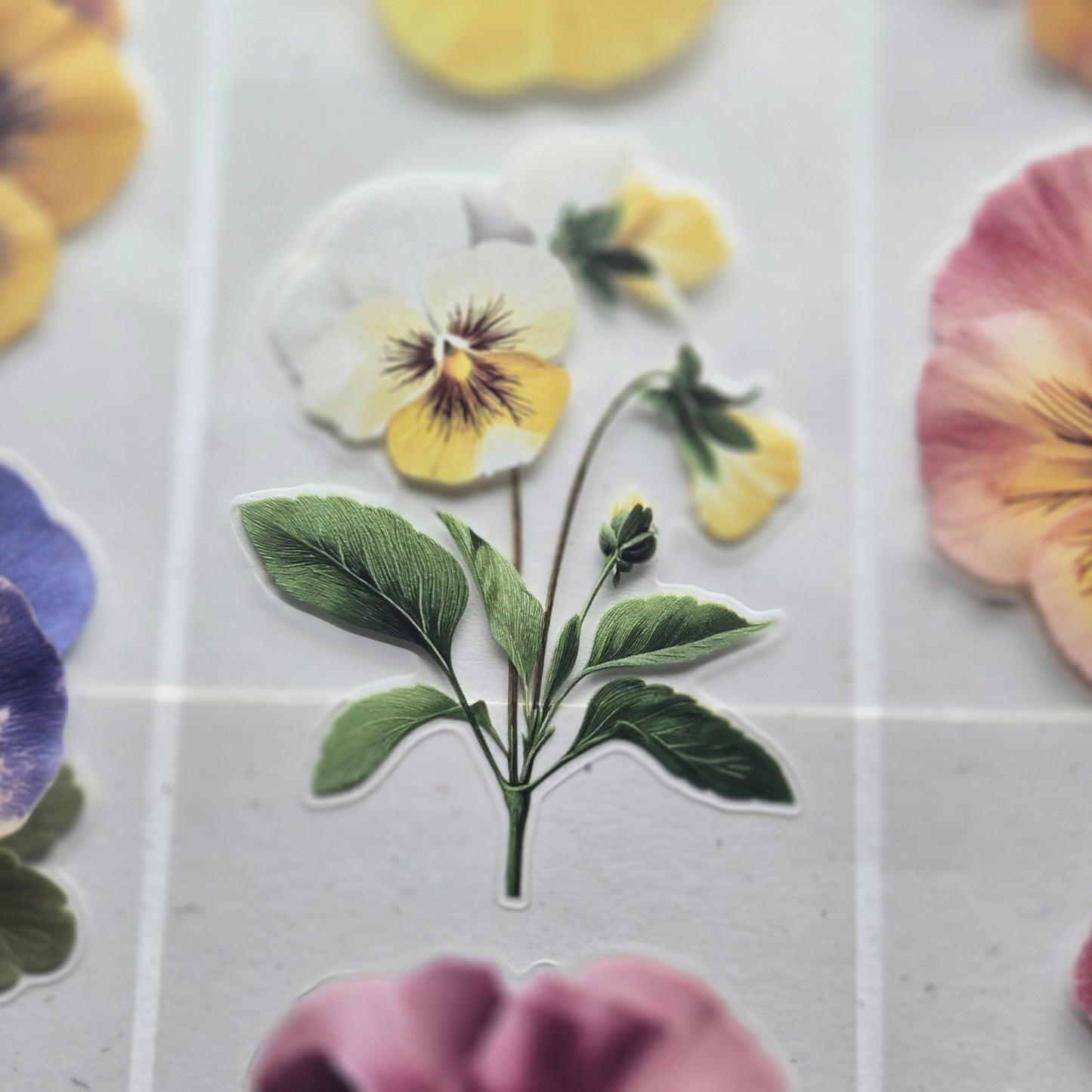 London Gifties Cheerful Summer Pansy 6cm Wide Kiss Cut Ink PET Tape