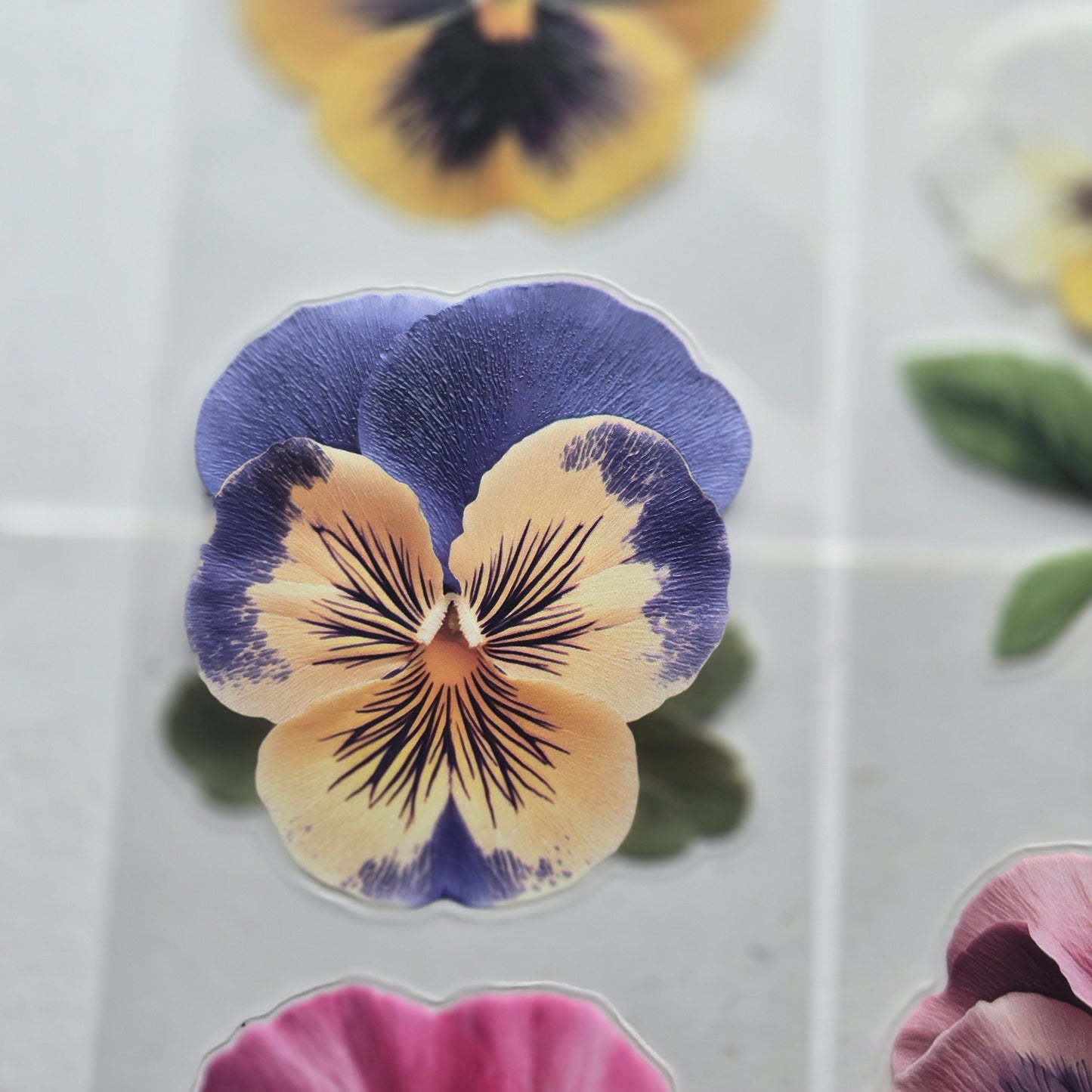 London Gifties Cheerful Summer Pansy 6cm Wide Kiss Cut Ink PET Tape