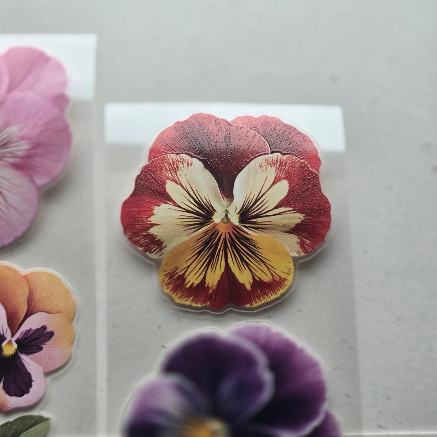 London Gifties Cheerful Summer Pansy 6cm Wide Kiss Cut Ink PET Tape