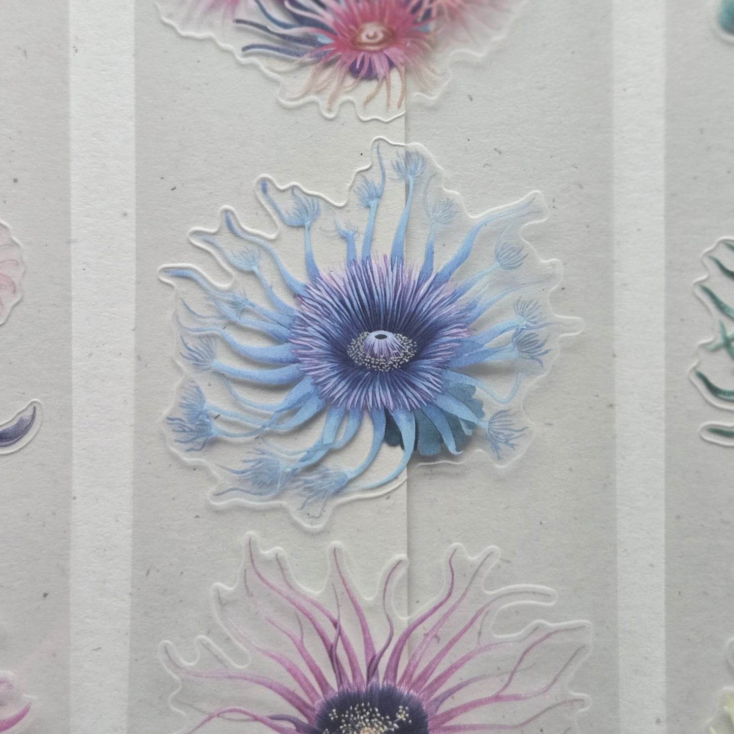 London Gifties Gorgeous Sea Anemones 6cm Wide Kiss Cut Ink PET Tape