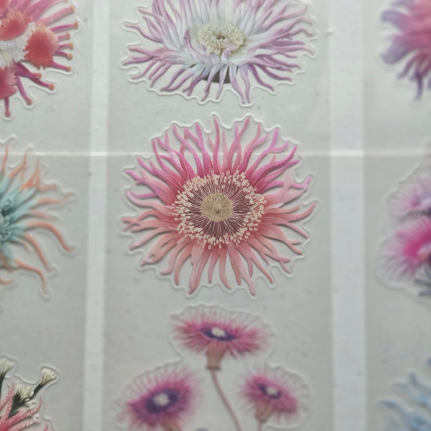 London Gifties Gorgeous Sea Anemones 6cm Wide Kiss Cut Ink PET Tape