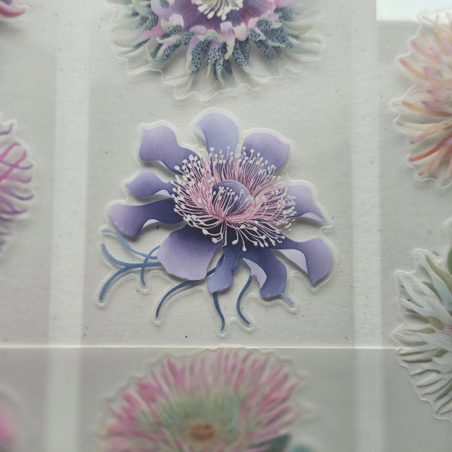 London Gifties Gorgeous Sea Anemones 6cm Wide Kiss Cut Ink PET Tape