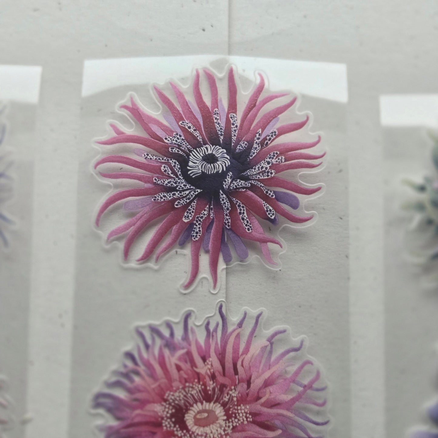 London Gifties Gorgeous Sea Anemones 6cm Wide Kiss Cut Ink PET Tape