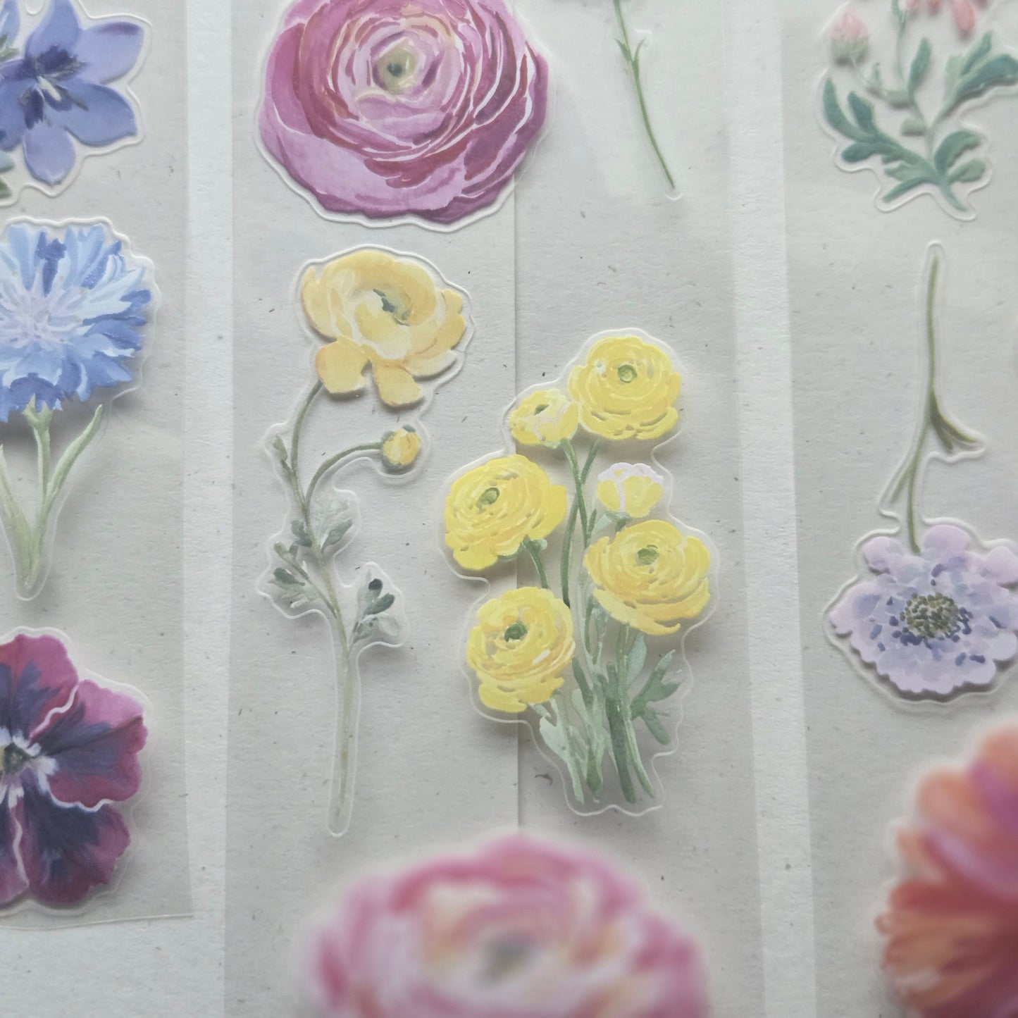 London Gifties Blooming Wild Summer 6cm Wide Kiss Cut Ink PET Tape