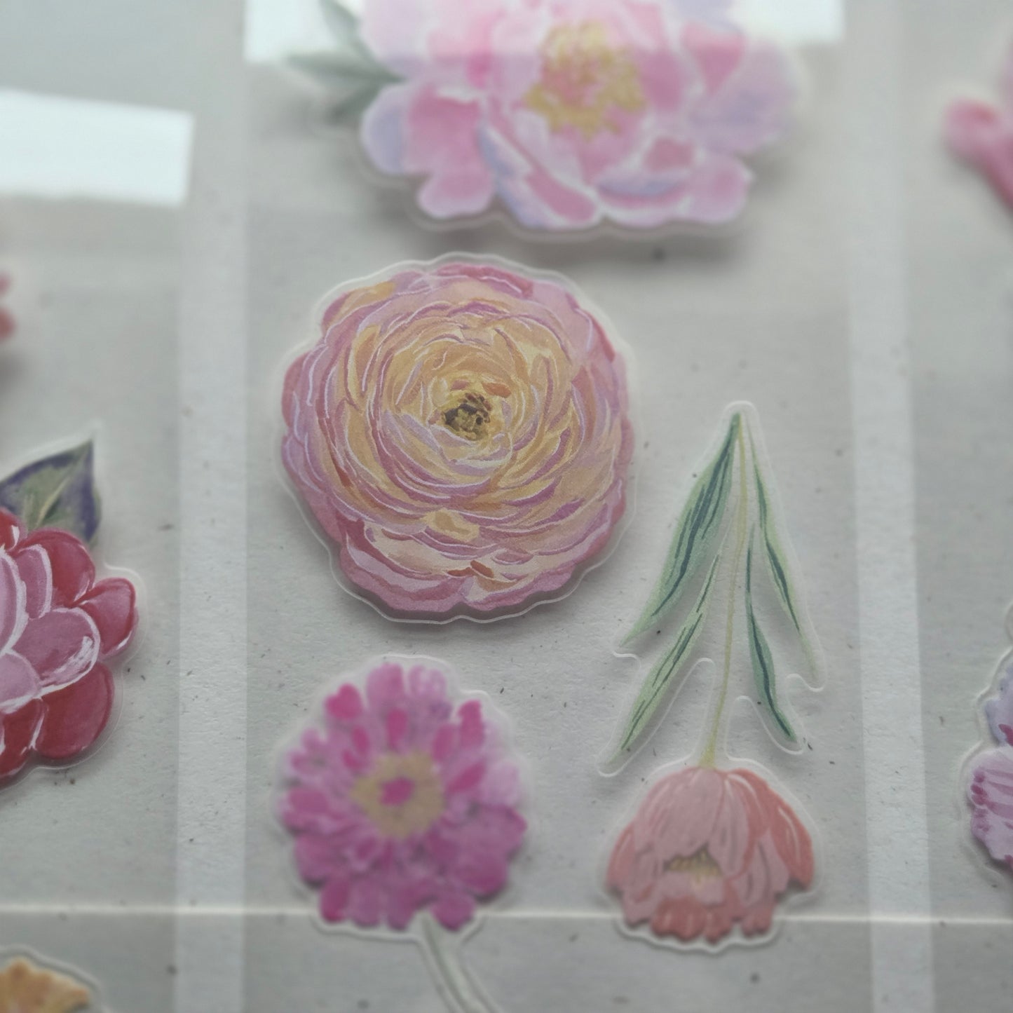 London Gifties Blooming Wild Summer 6cm Wide Kiss Cut Ink PET Tape