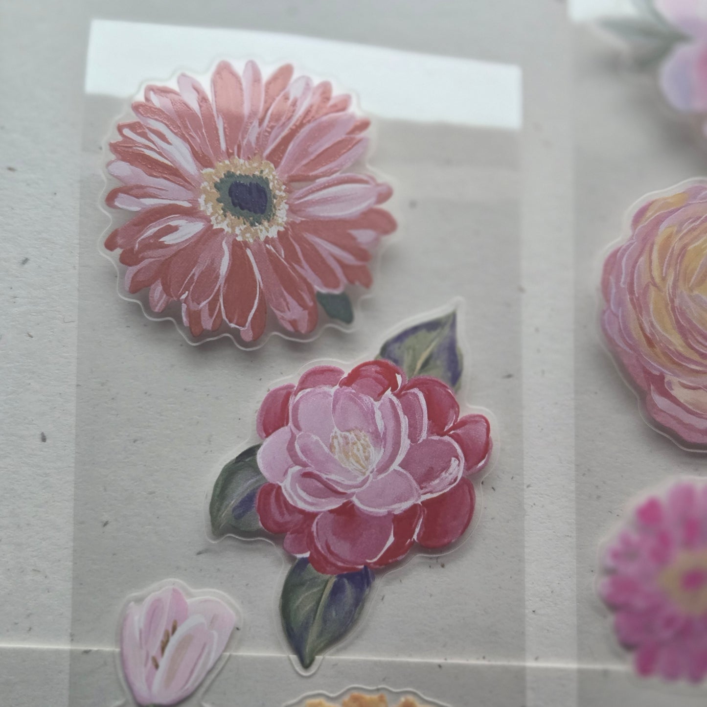 London Gifties Blooming Wild Summer 6cm Wide Kiss Cut Ink PET Tape