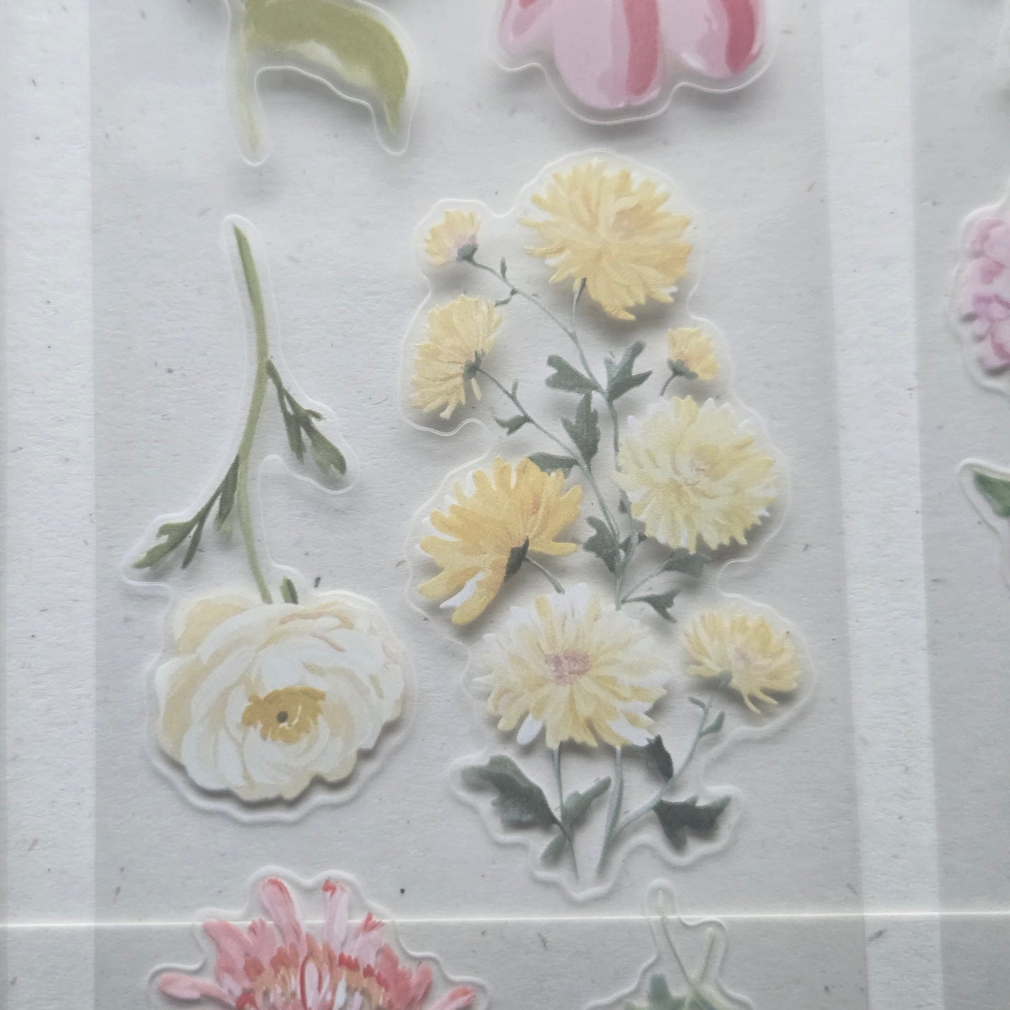 London Gifties Blooming Wild Summer 6cm Wide Kiss Cut Ink PET Tape