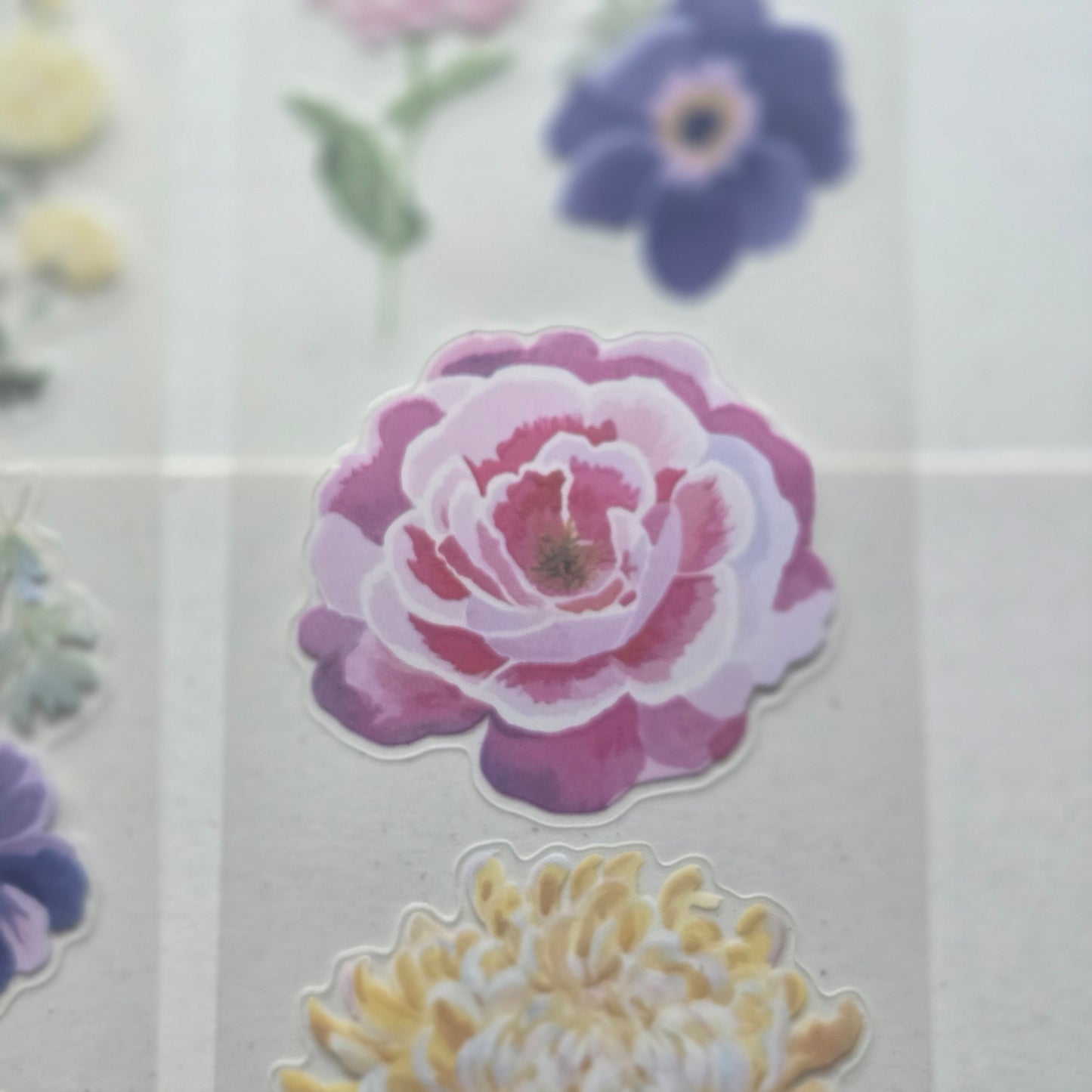 London Gifties Blooming Wild Summer 6cm Wide Kiss Cut Ink PET Tape
