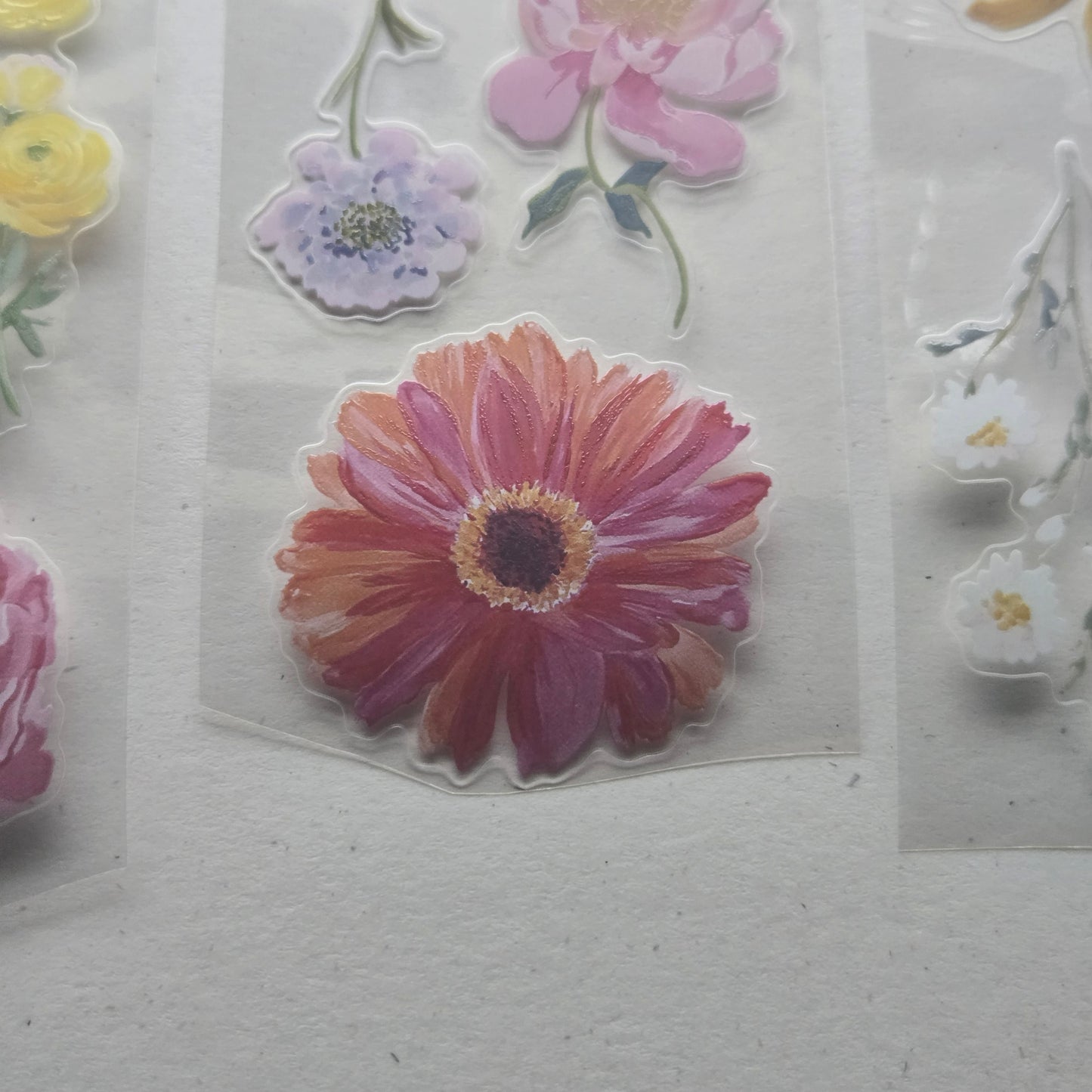 London Gifties Blooming Wild Summer 6cm Wide Kiss Cut Ink PET Tape