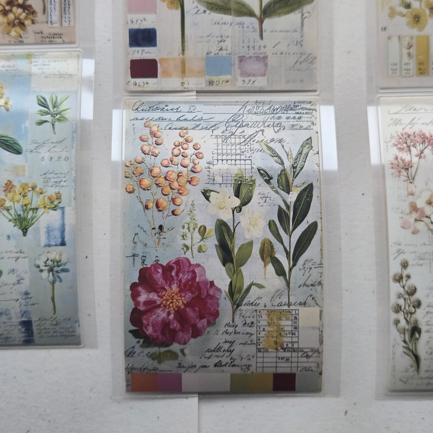 London Gifties Nature Swatch Inspiration Pages 6cm Wide Kiss Cut Ink PET Tape