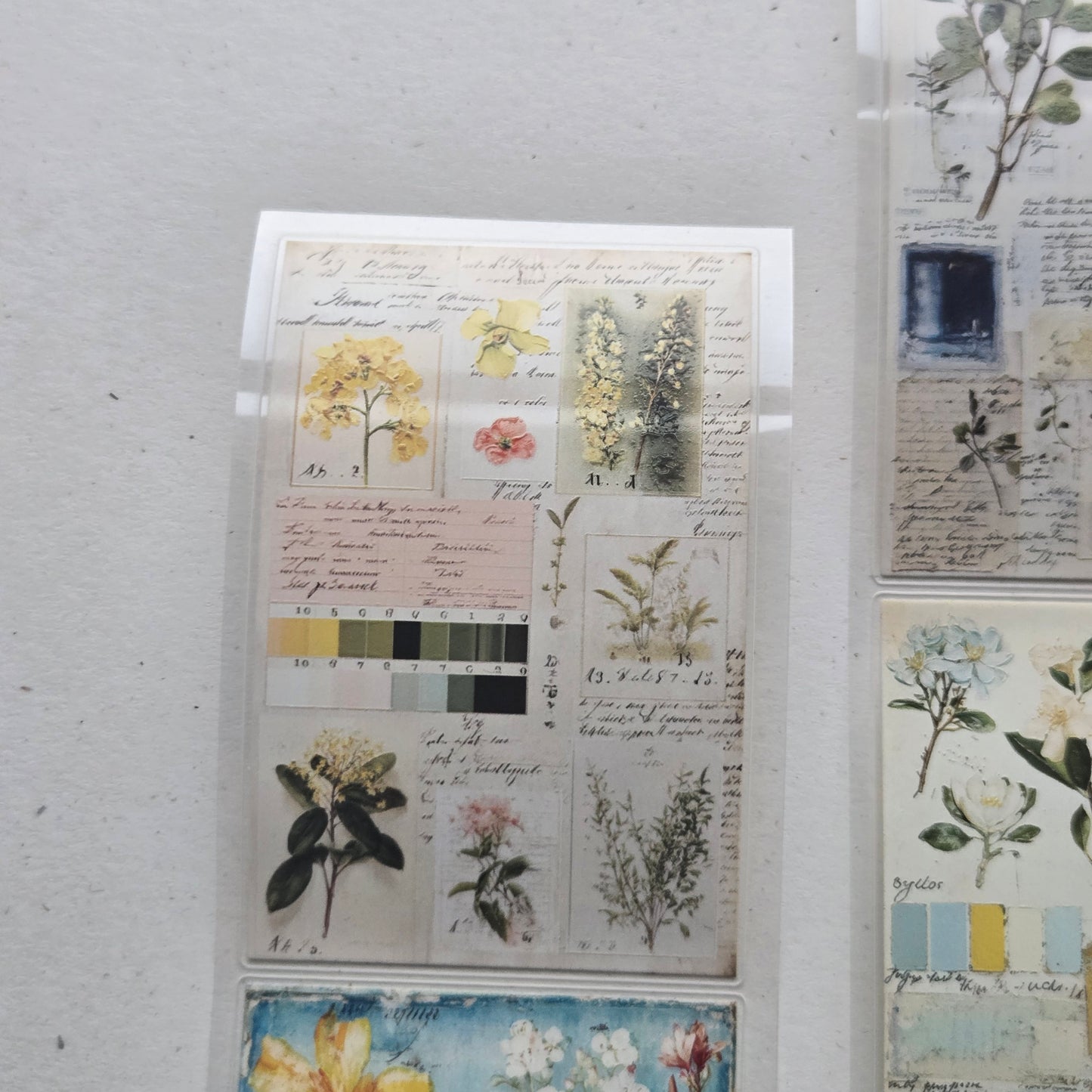 London Gifties Nature Swatch Inspiration Pages 6cm Wide Kiss Cut Ink PET Tape