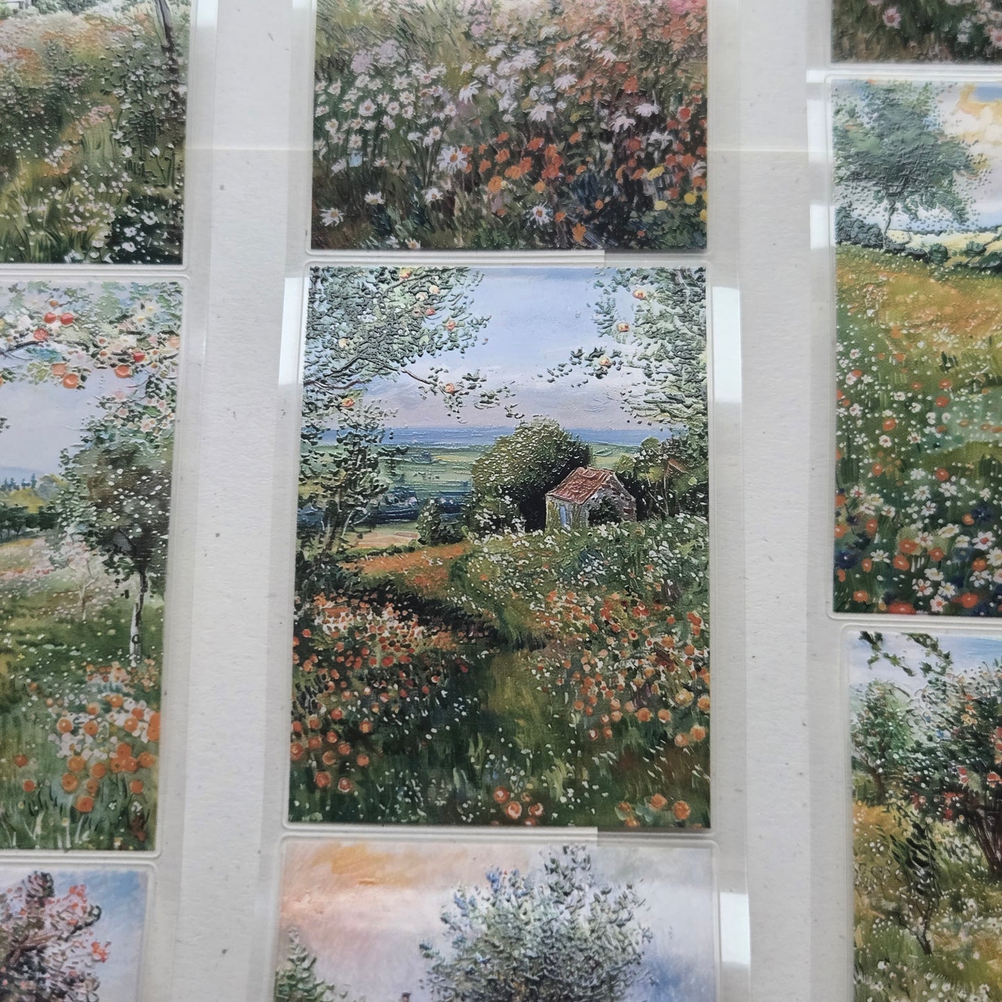 London Gifties Colourful Fruit Farmhouse & Fields 6cm Wide Kiss Cut Ink PET Tape