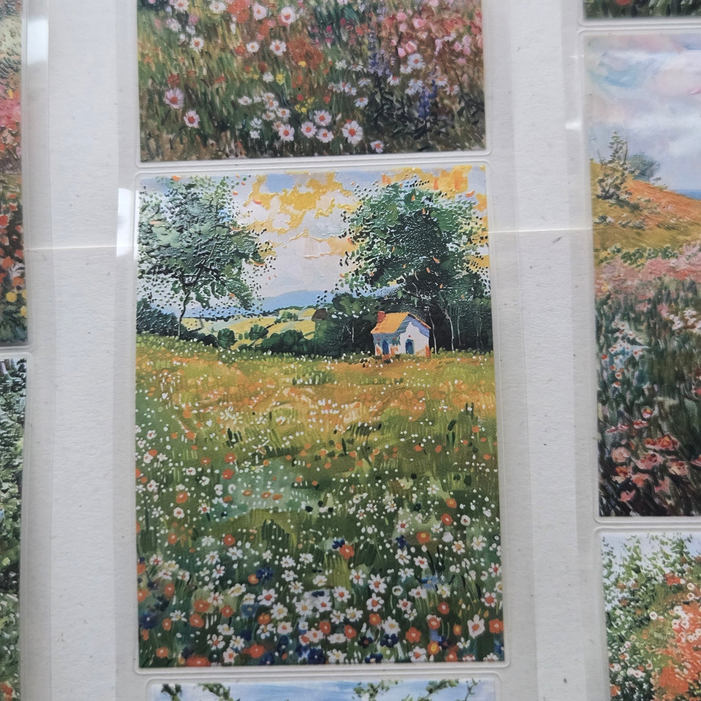 London Gifties Colourful Fruit Farmhouse & Fields 6cm Wide Kiss Cut Ink PET Tape