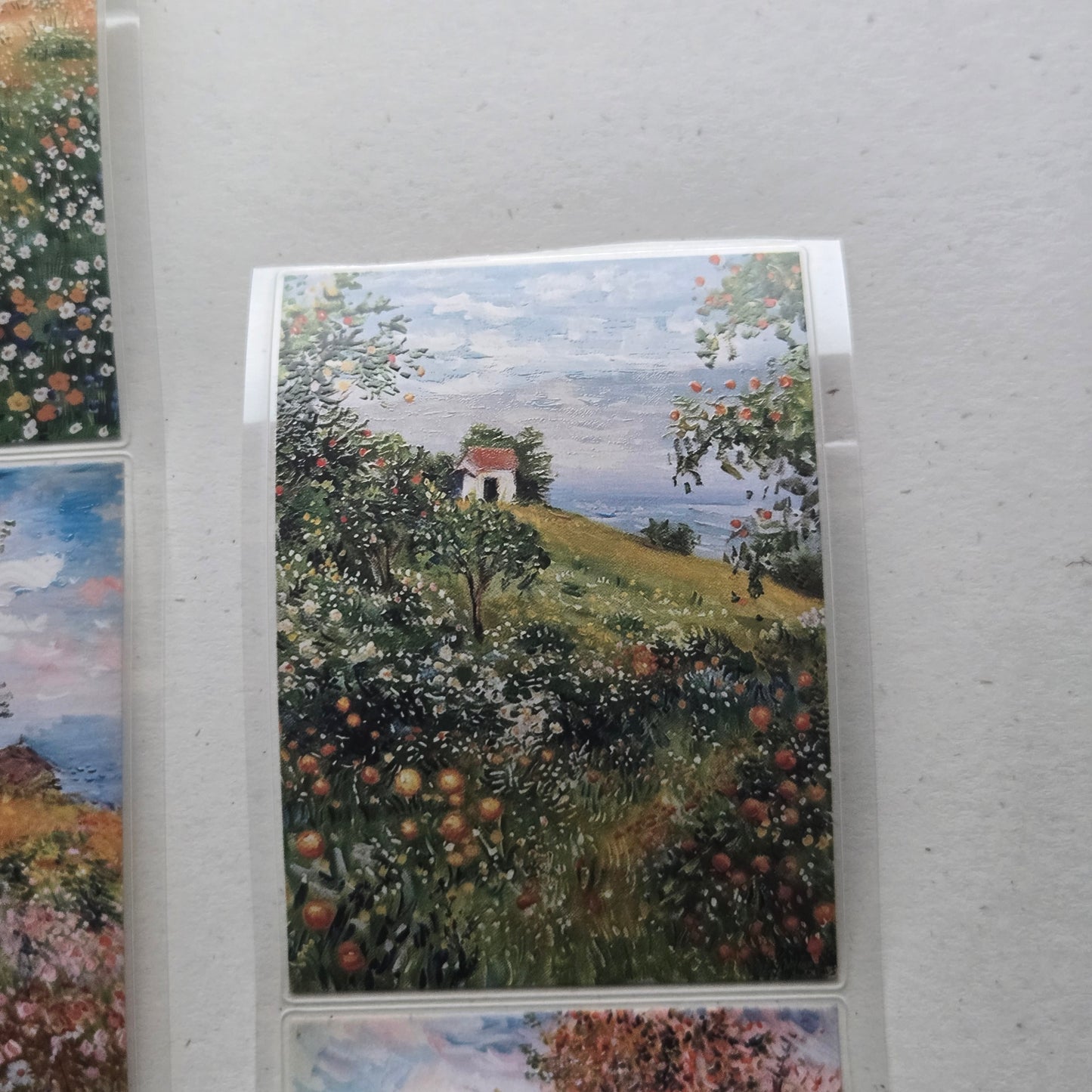 London Gifties Colourful Fruit Farmhouse & Fields 6cm Wide Kiss Cut Ink PET Tape