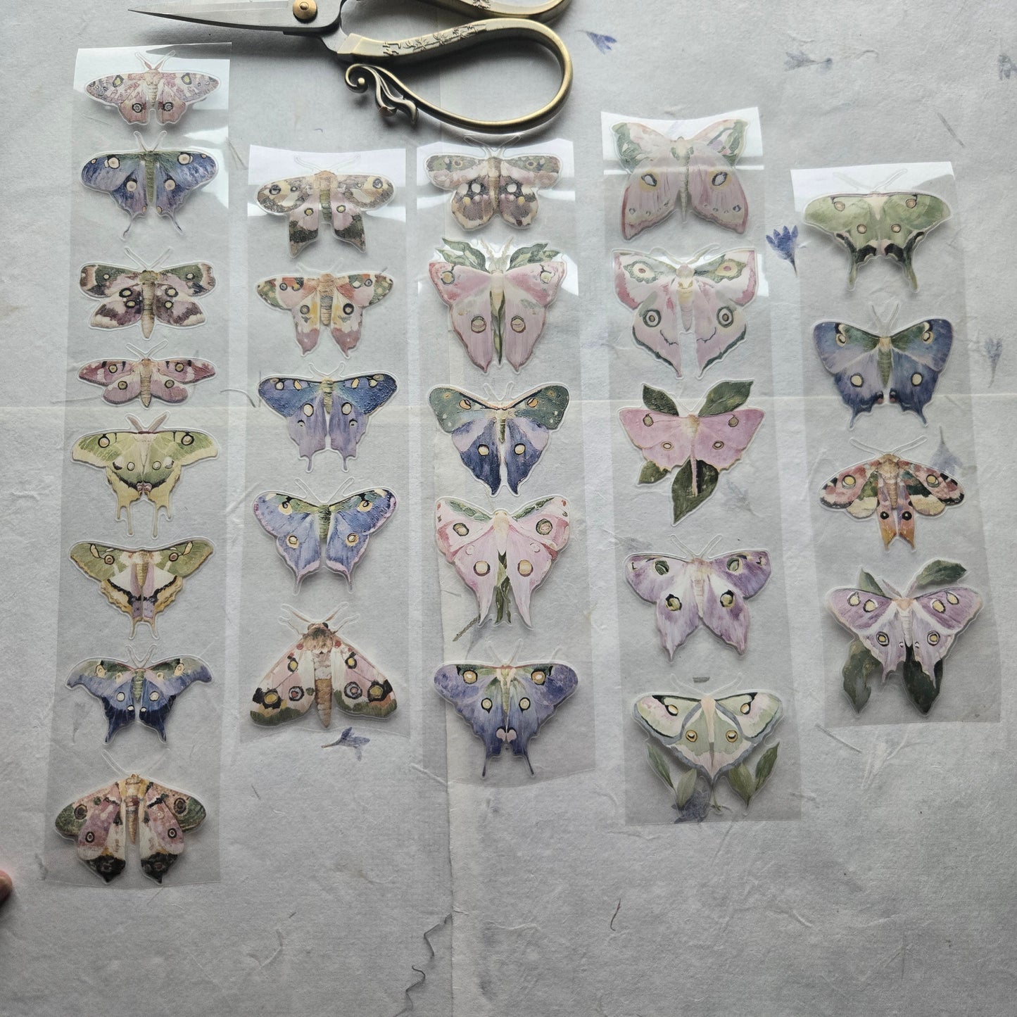London Gifties Watercolor Luna Moths 6cm Wide Kiss Cut Ink PET Tape