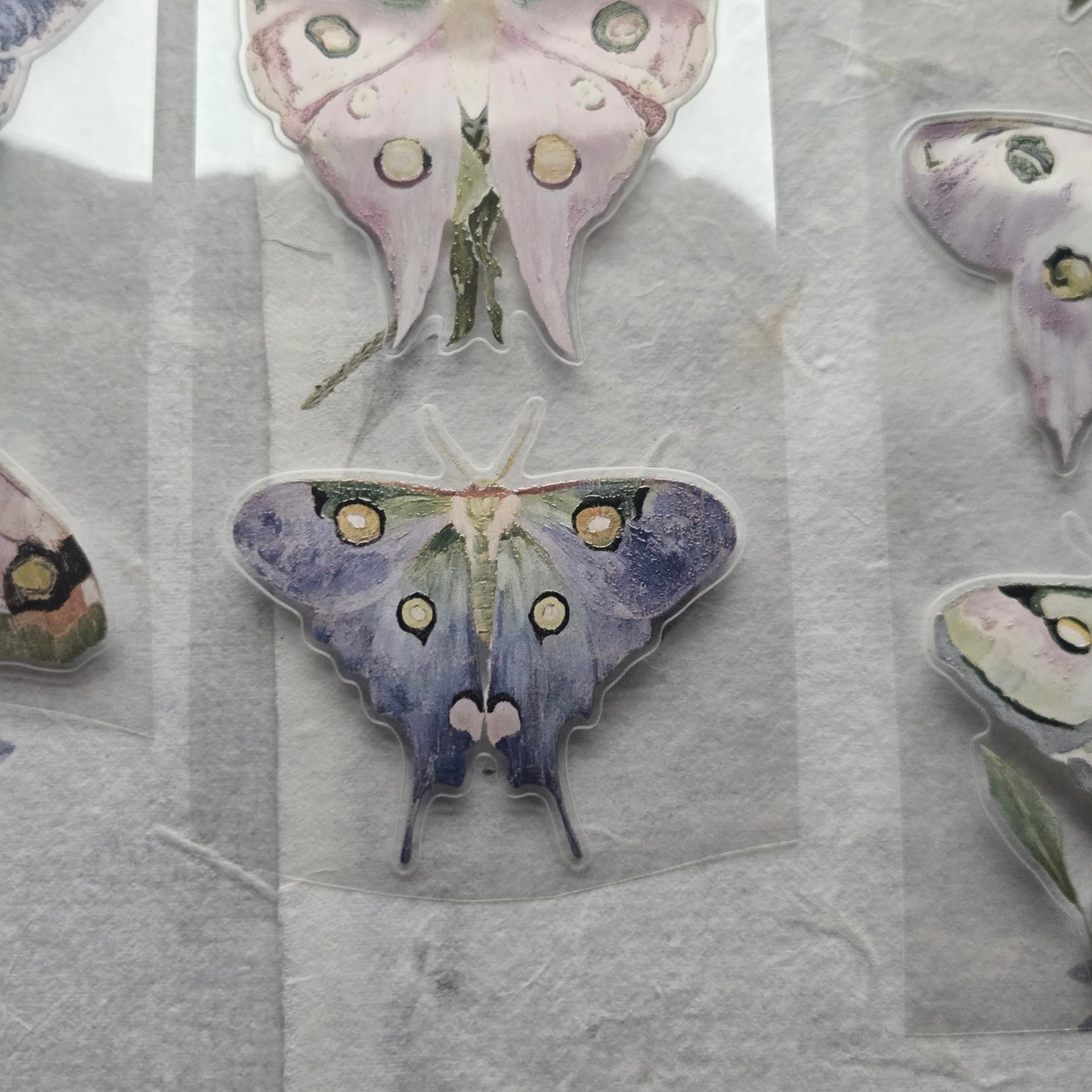 London Gifties Watercolor Luna Moths 6cm Wide Kiss Cut Ink PET Tape
