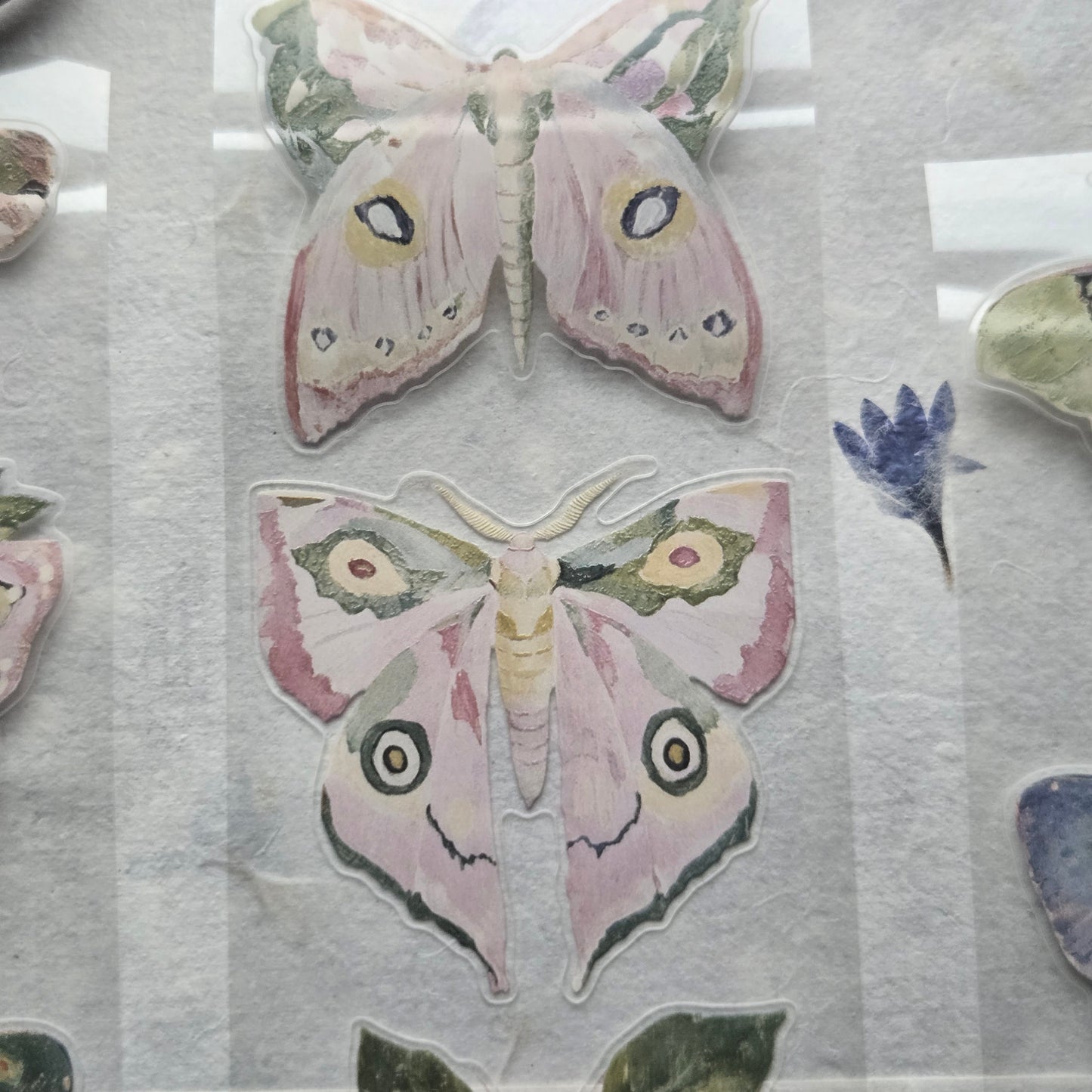London Gifties Watercolor Luna Moths 6cm Wide Kiss Cut Ink PET Tape