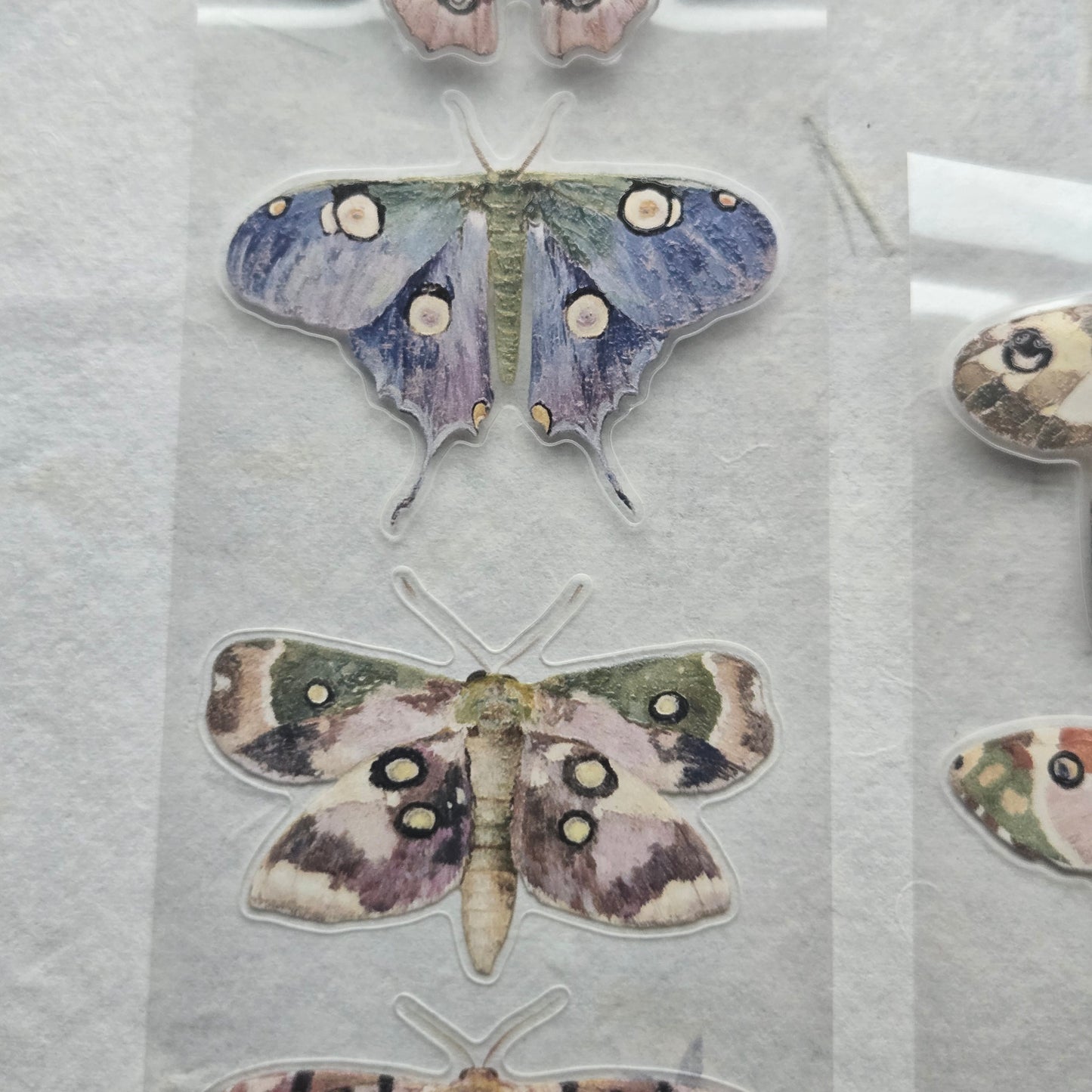 London Gifties Watercolor Luna Moths 6cm Wide Kiss Cut Ink PET Tape