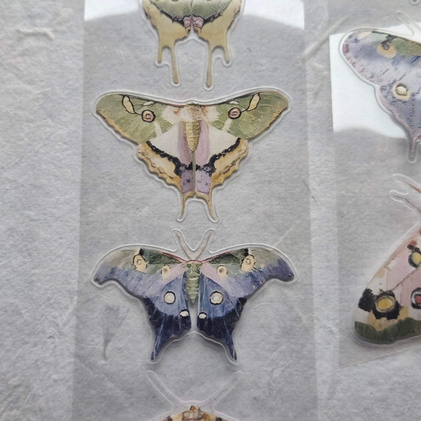 London Gifties Watercolor Luna Moths 6cm Wide Kiss Cut Ink PET Tape