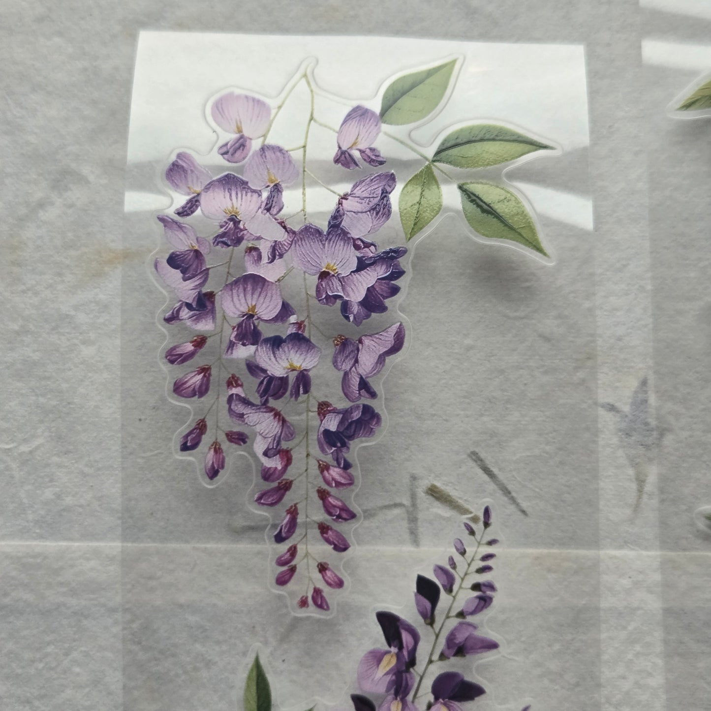 London Gifties English Countryside Wisteria 6cm Wide Kiss Cut Ink PET Tape