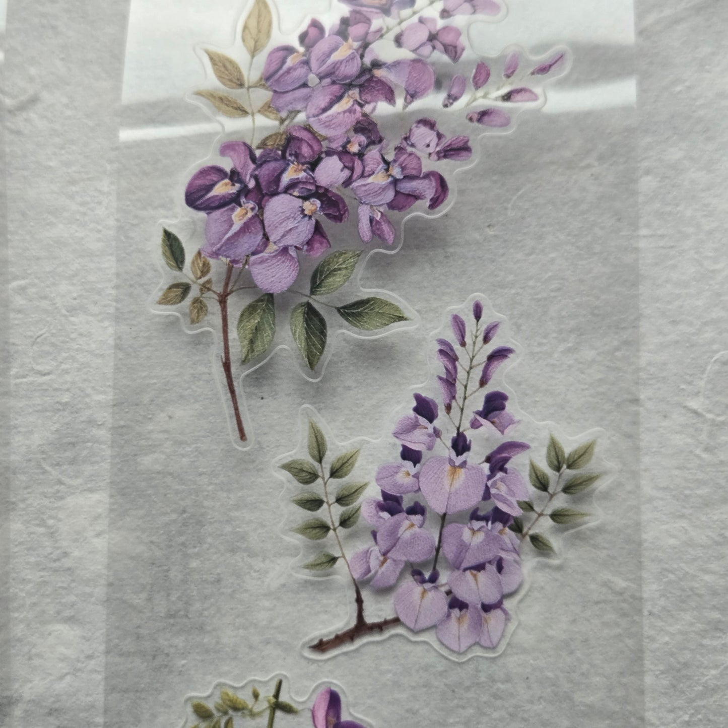 London Gifties English Countryside Wisteria 6cm Wide Kiss Cut Ink PET Tape