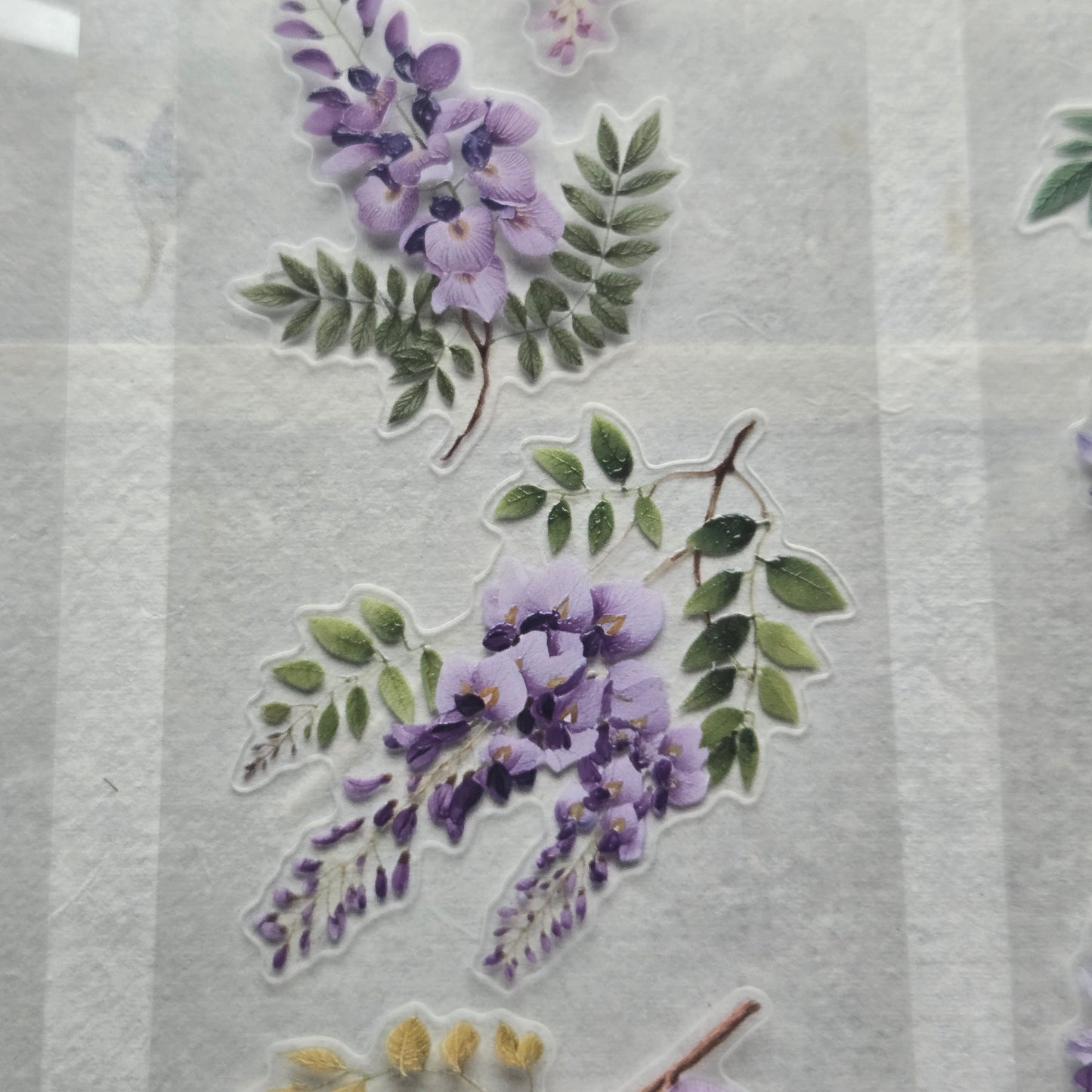 London Gifties English Countryside Wisteria 6cm Wide Kiss Cut Ink PET Tape